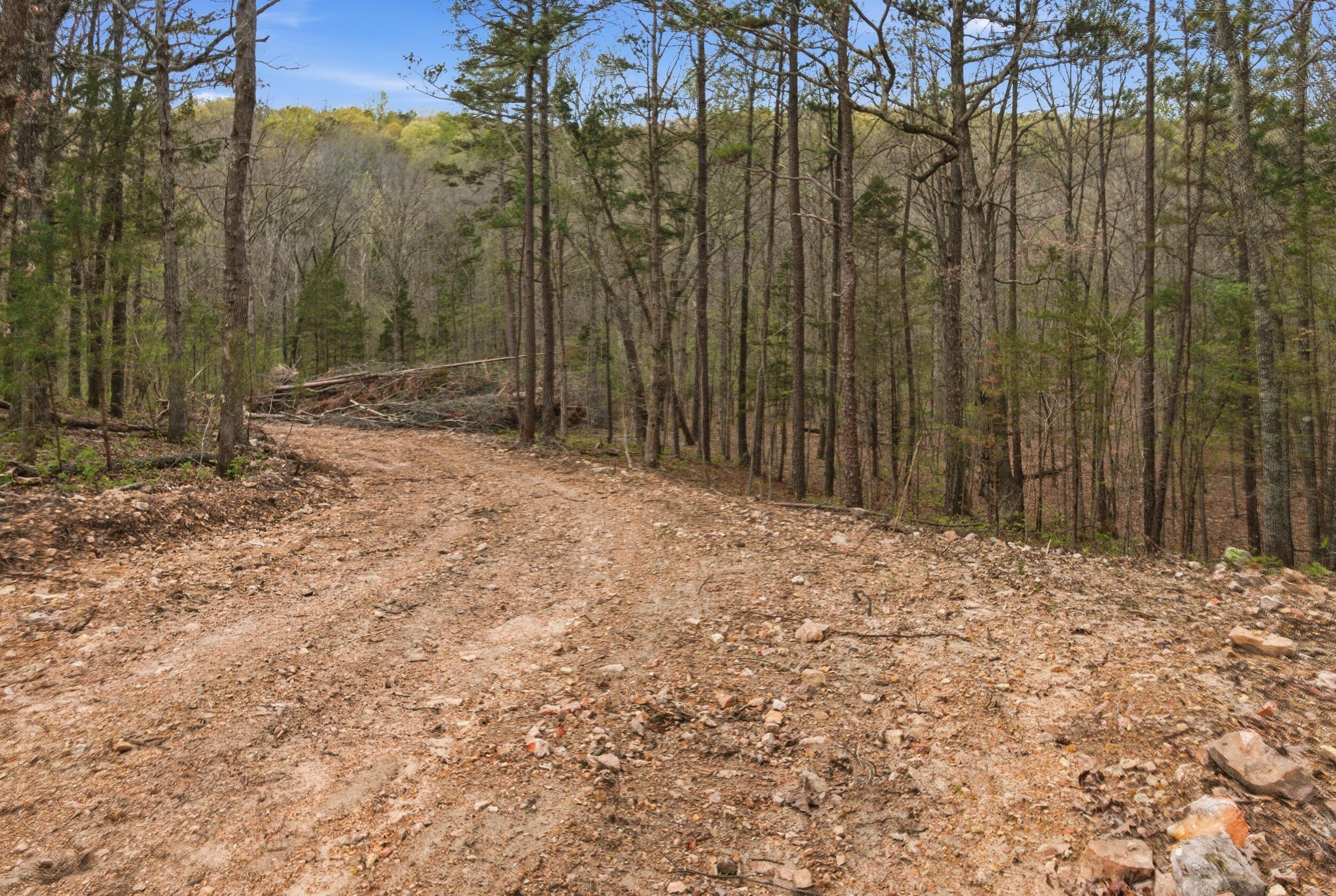 main property photo 89