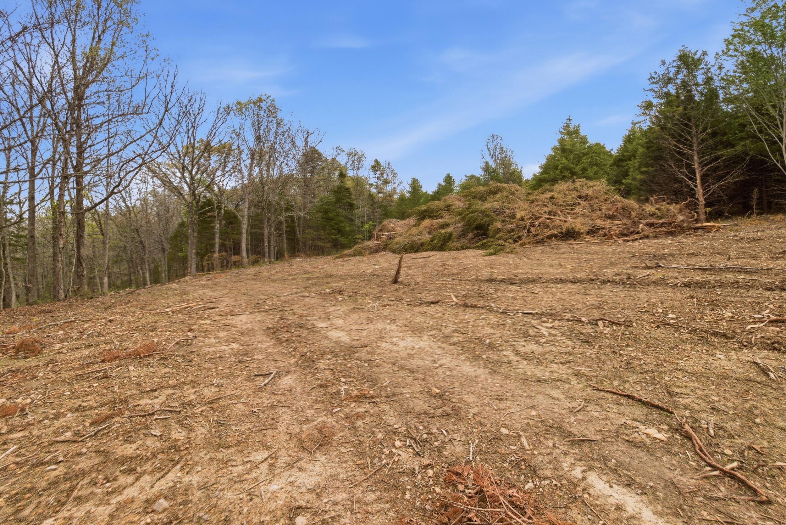 main property photo 91
