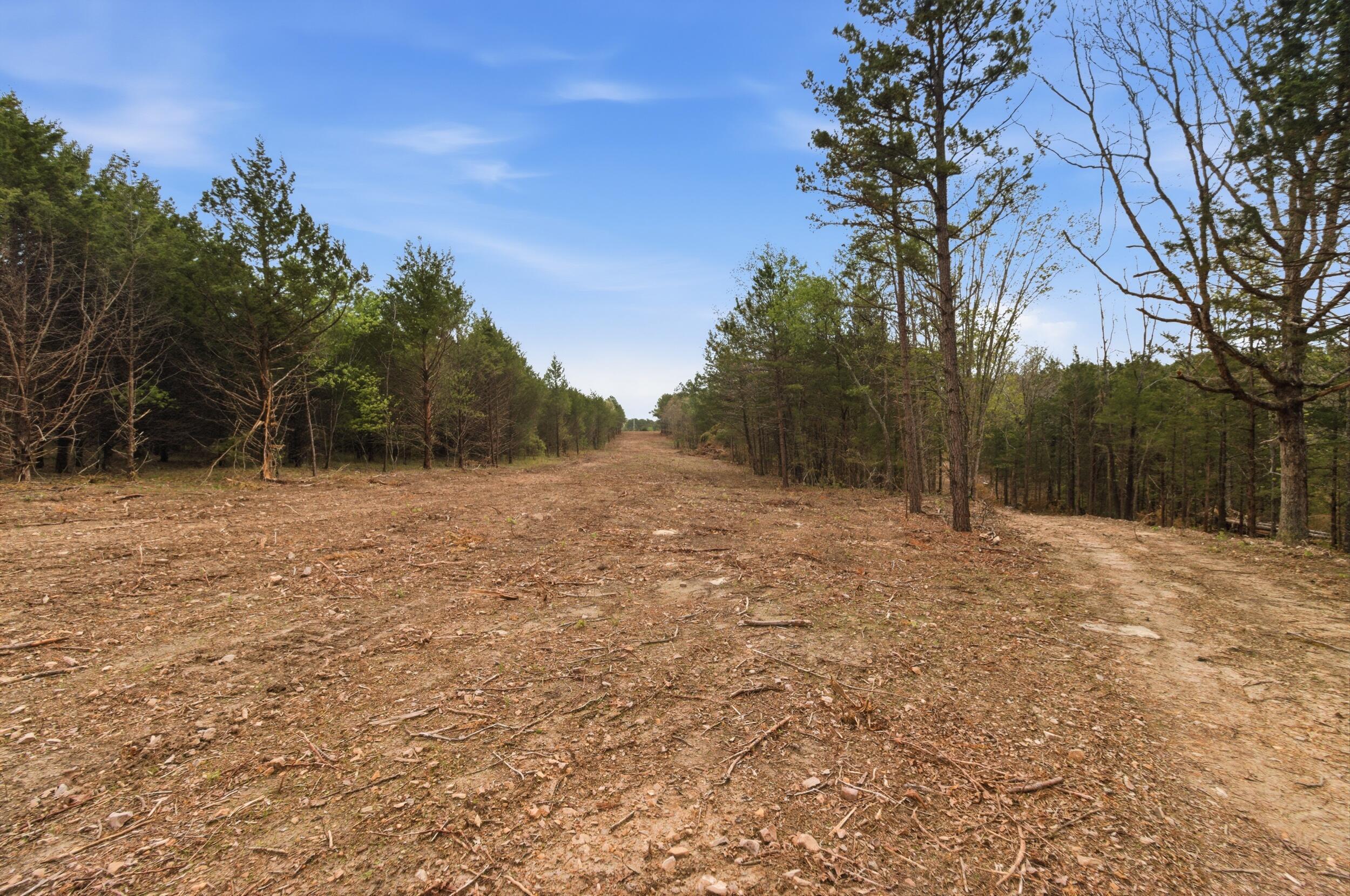 main property photo 92