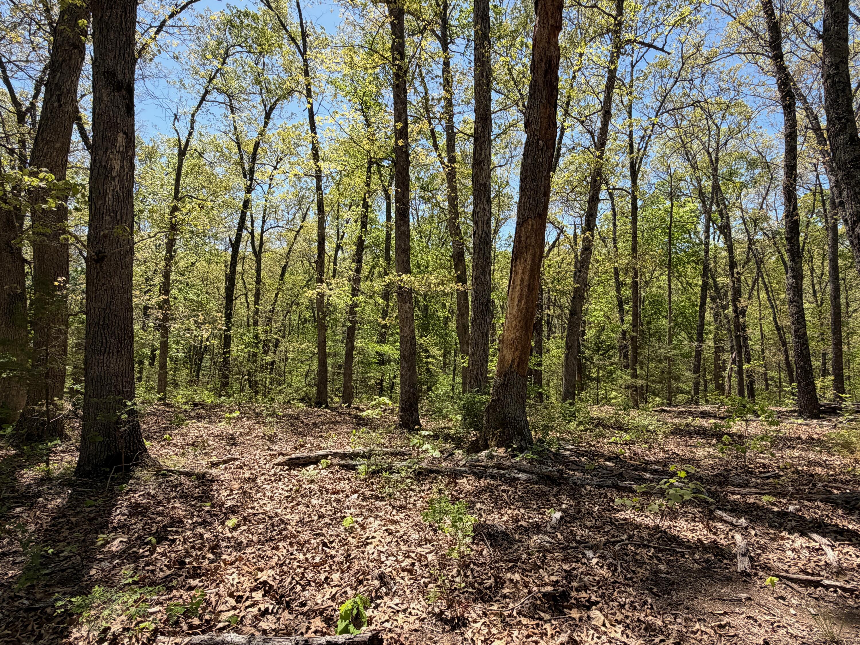 main property photo 7