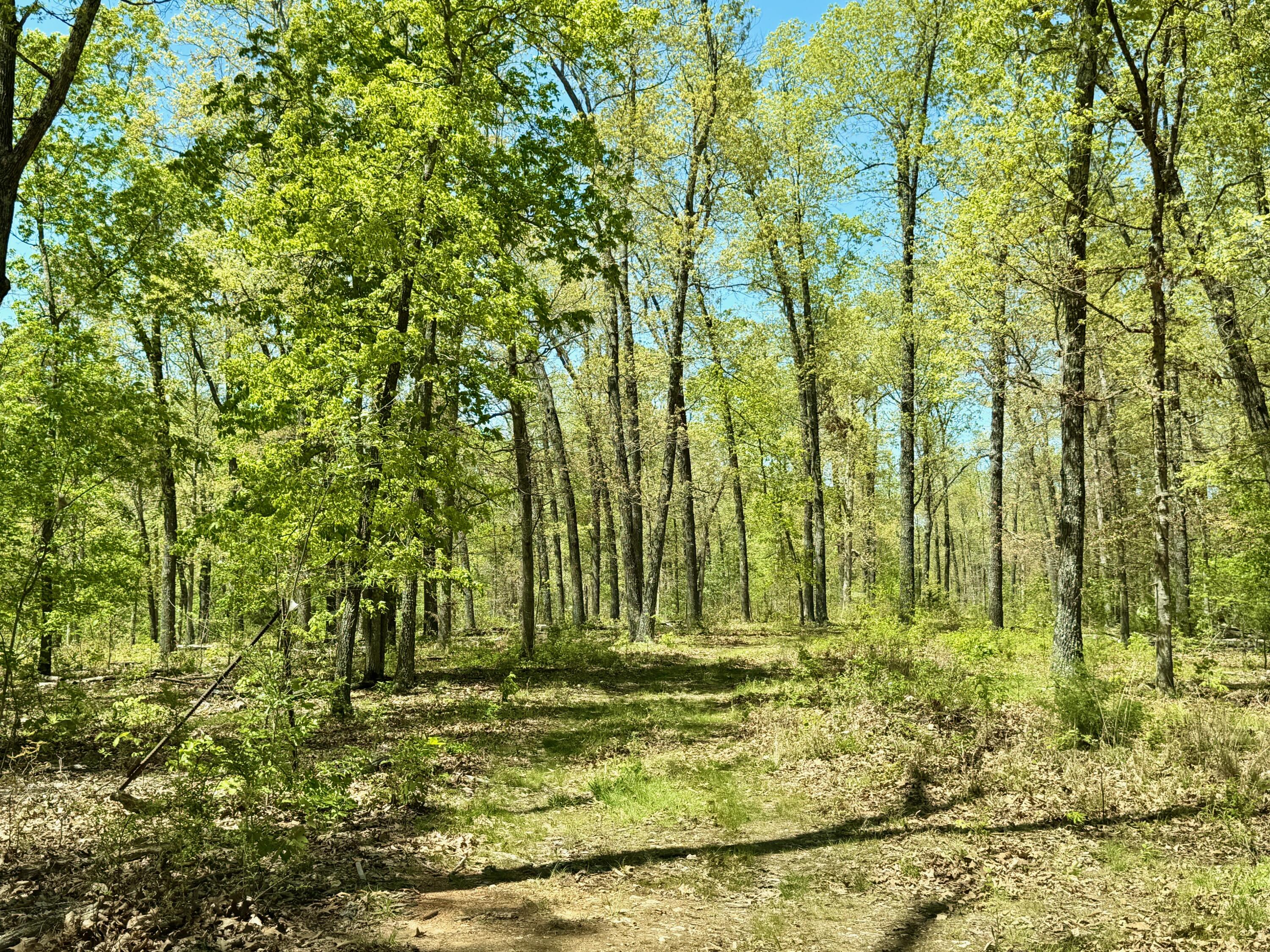 main property photo 8