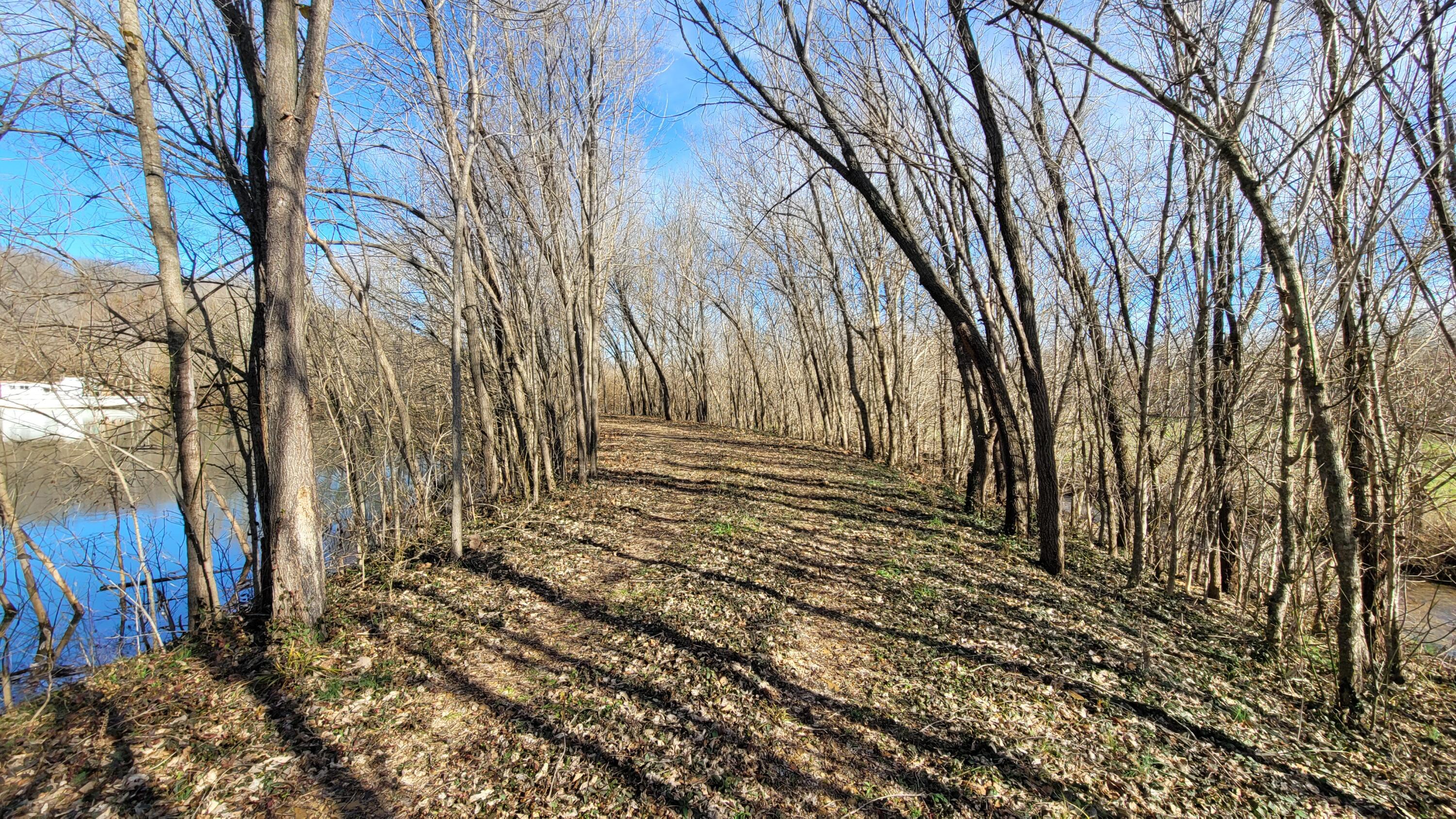 main property photo 13