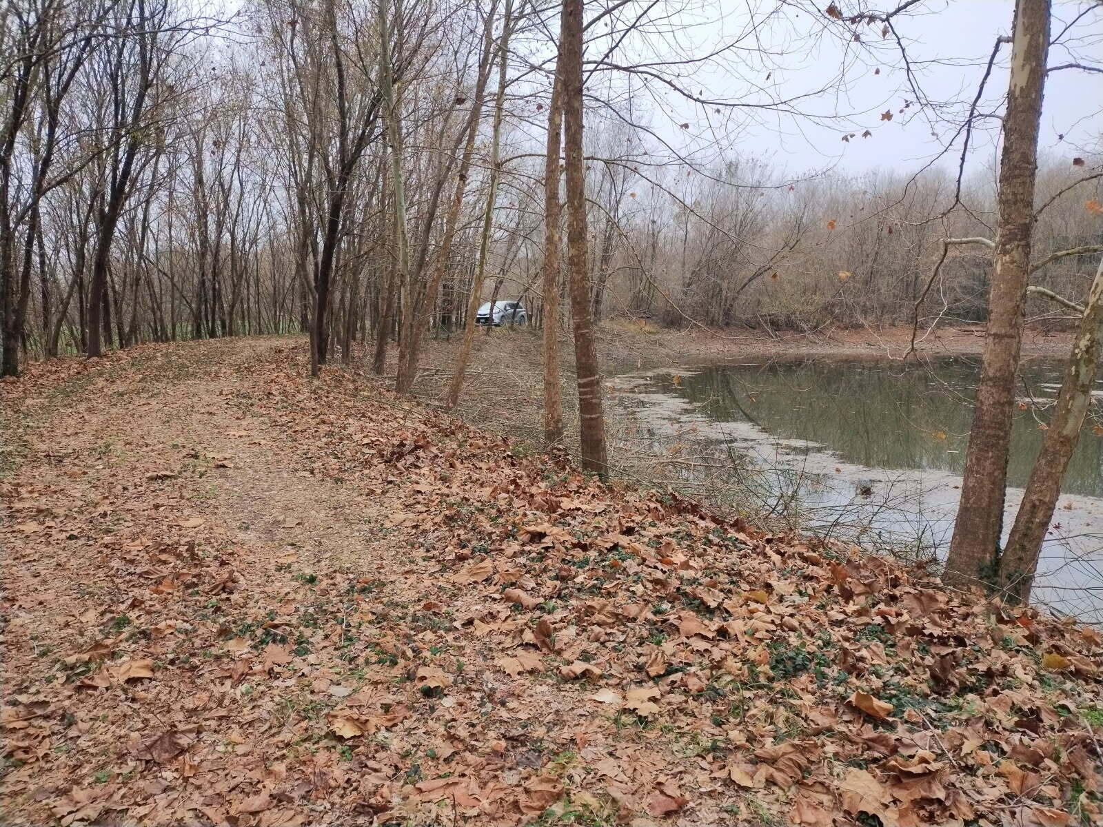 main property photo 19