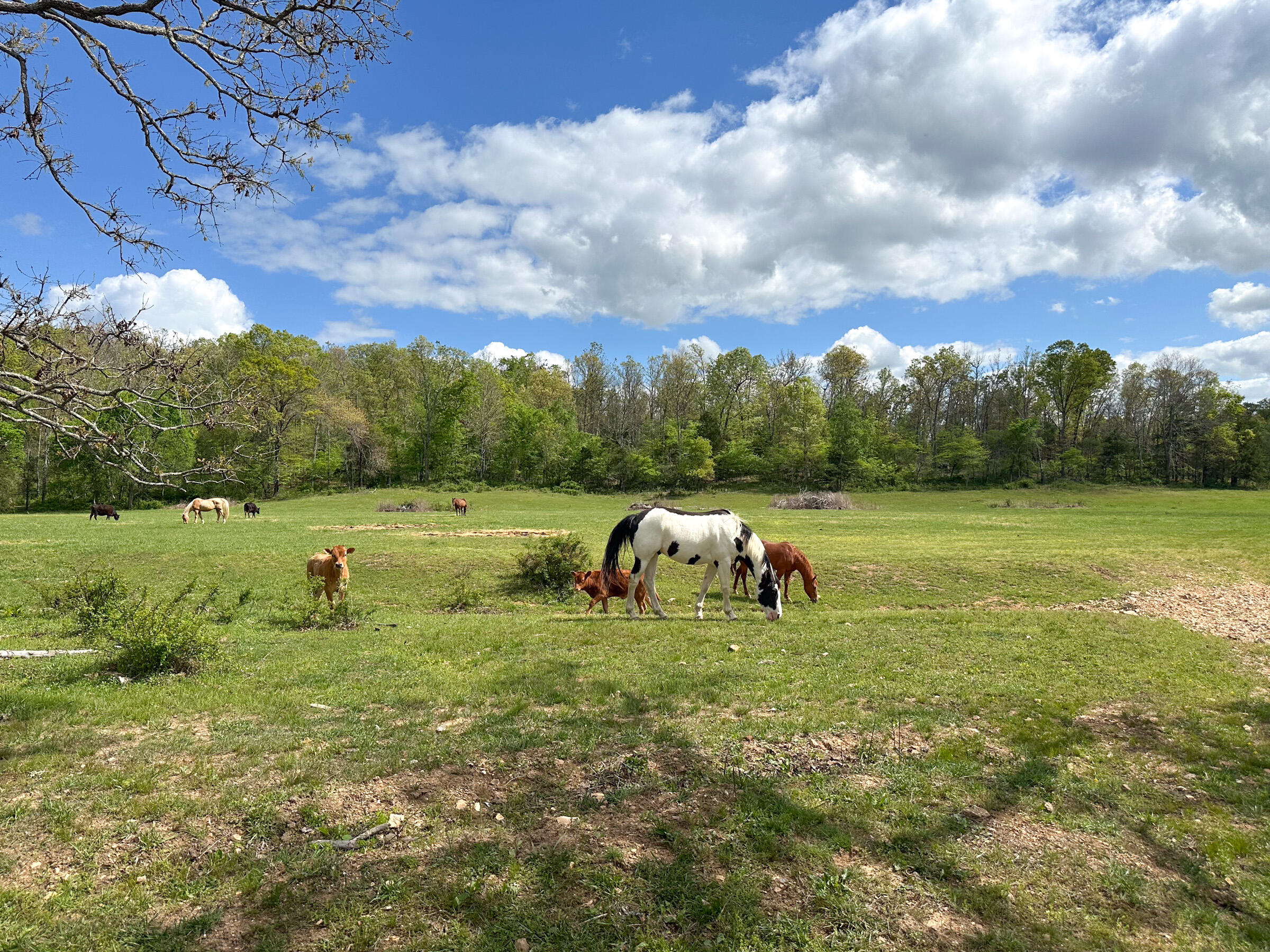 main property photo 50