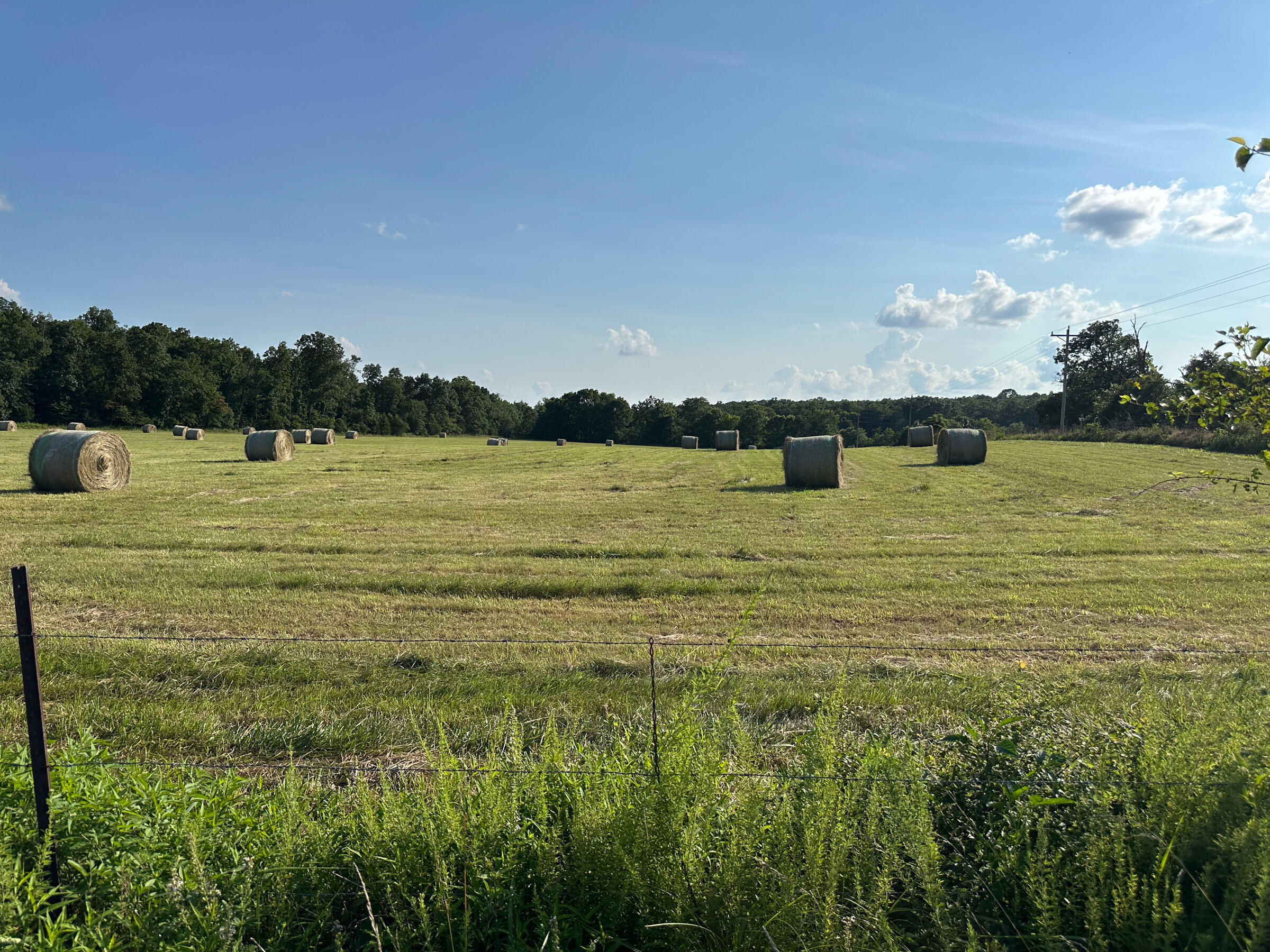 main property photo 52