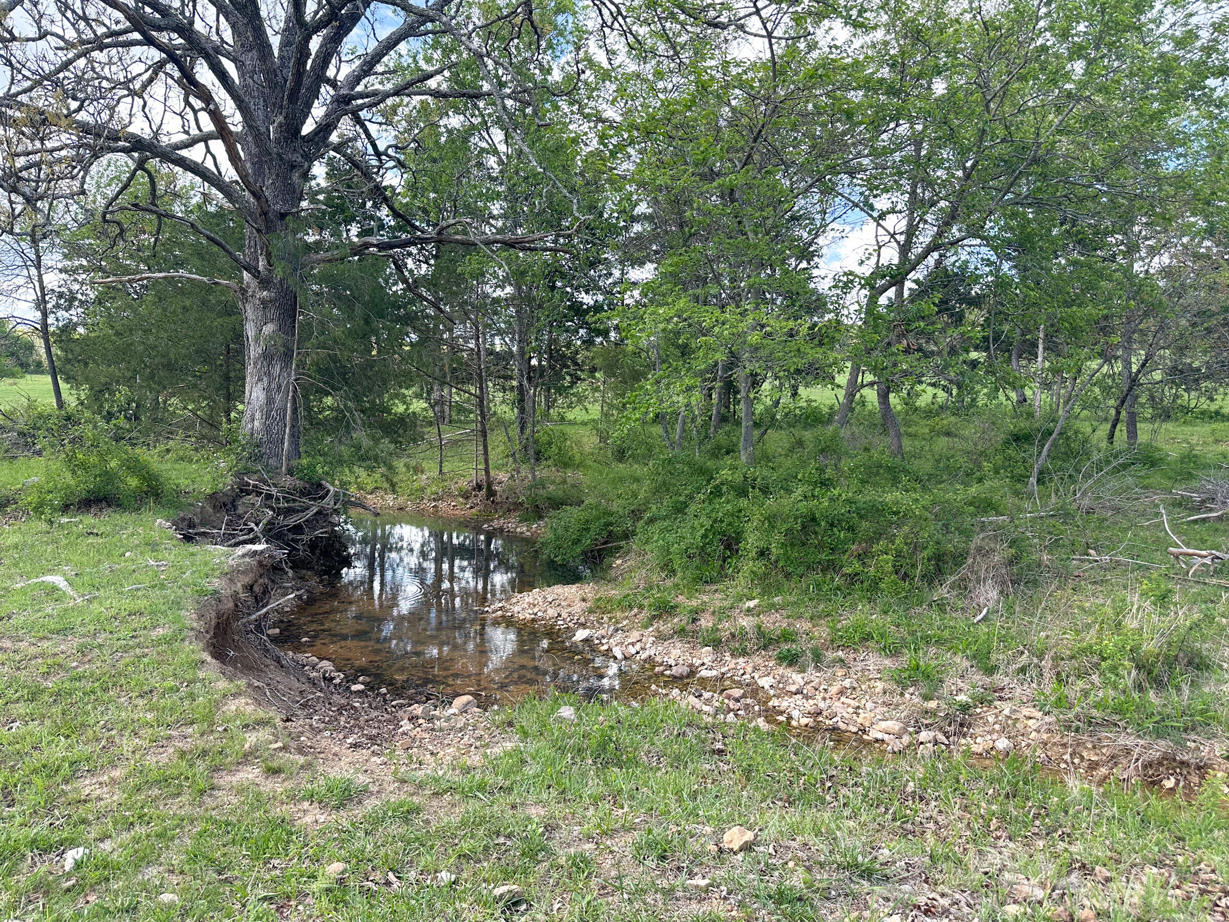 main property photo 53