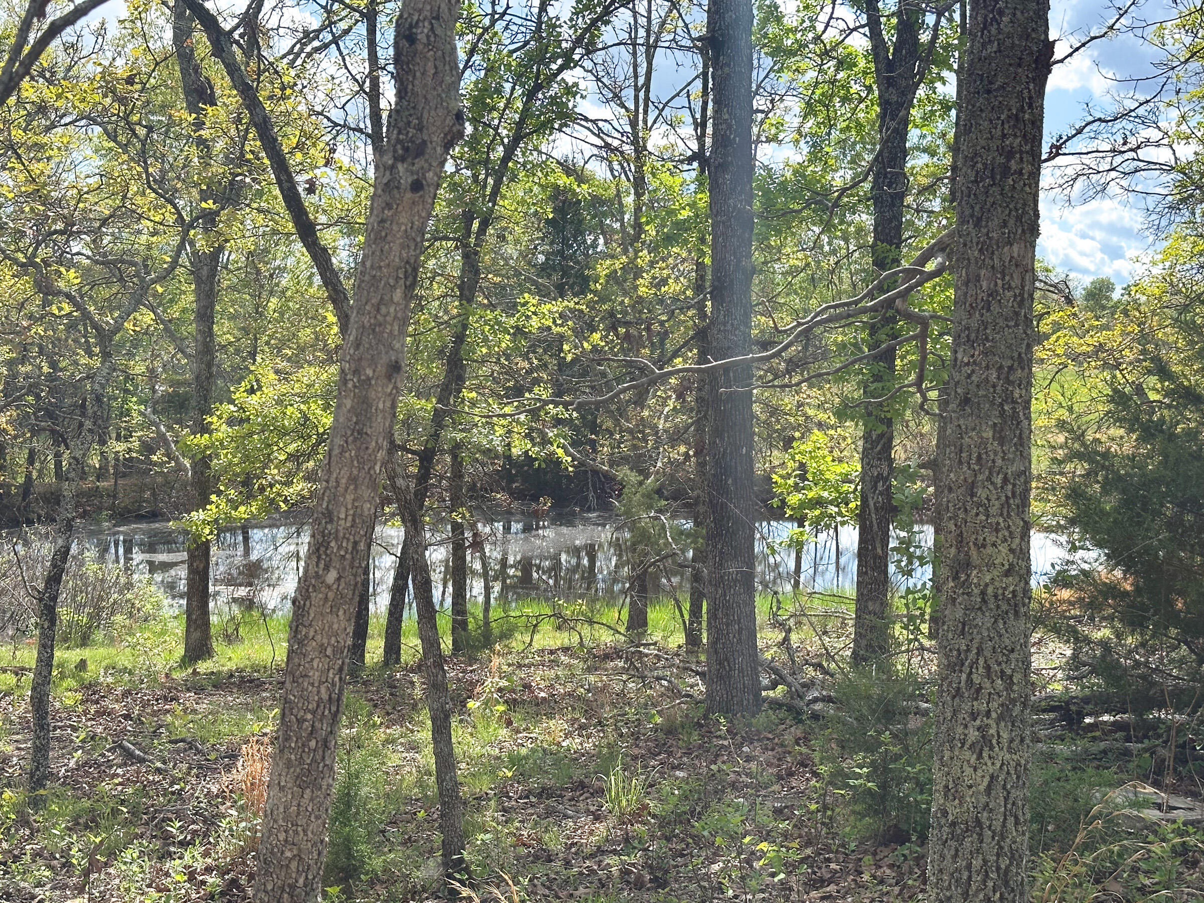 main property photo 55