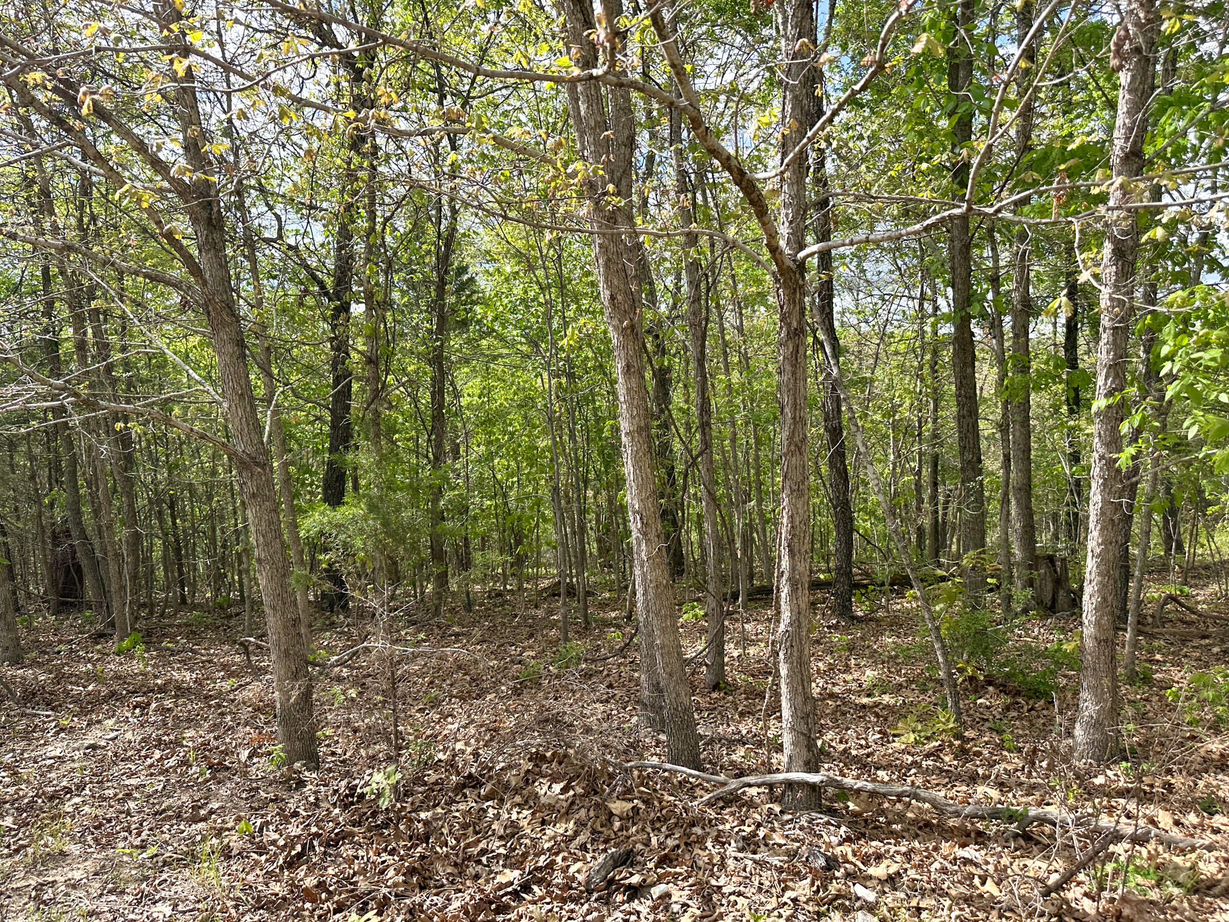 main property photo 61