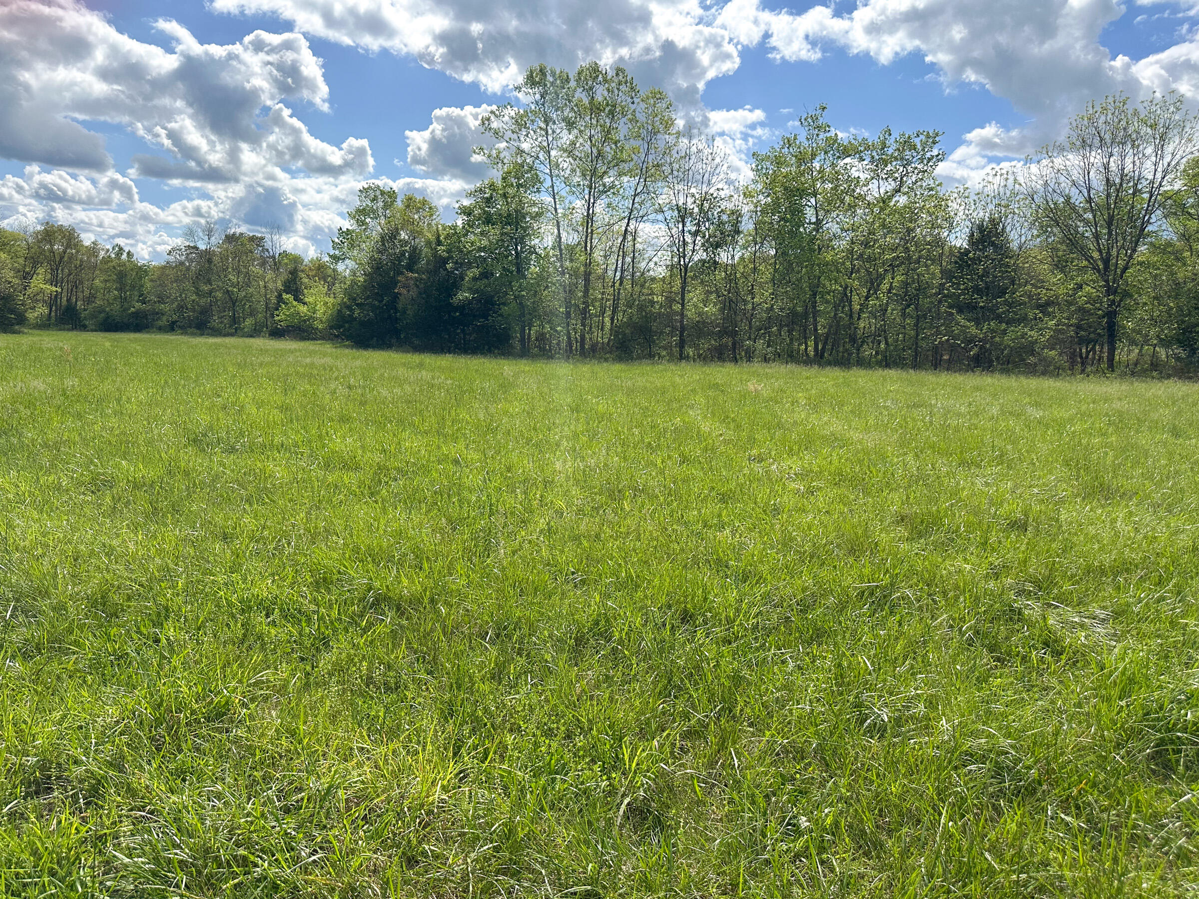 main property photo 63