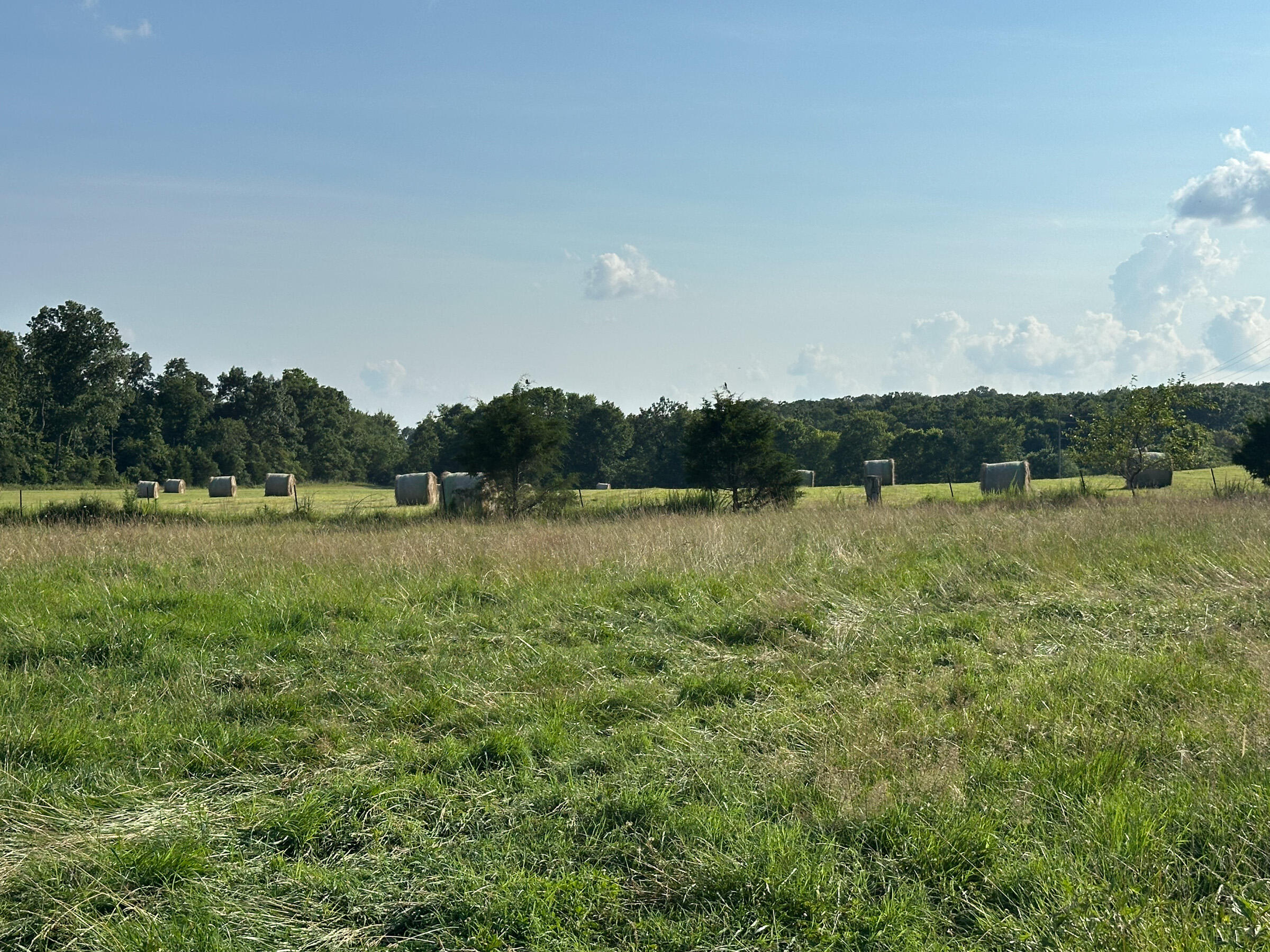 main property photo 64