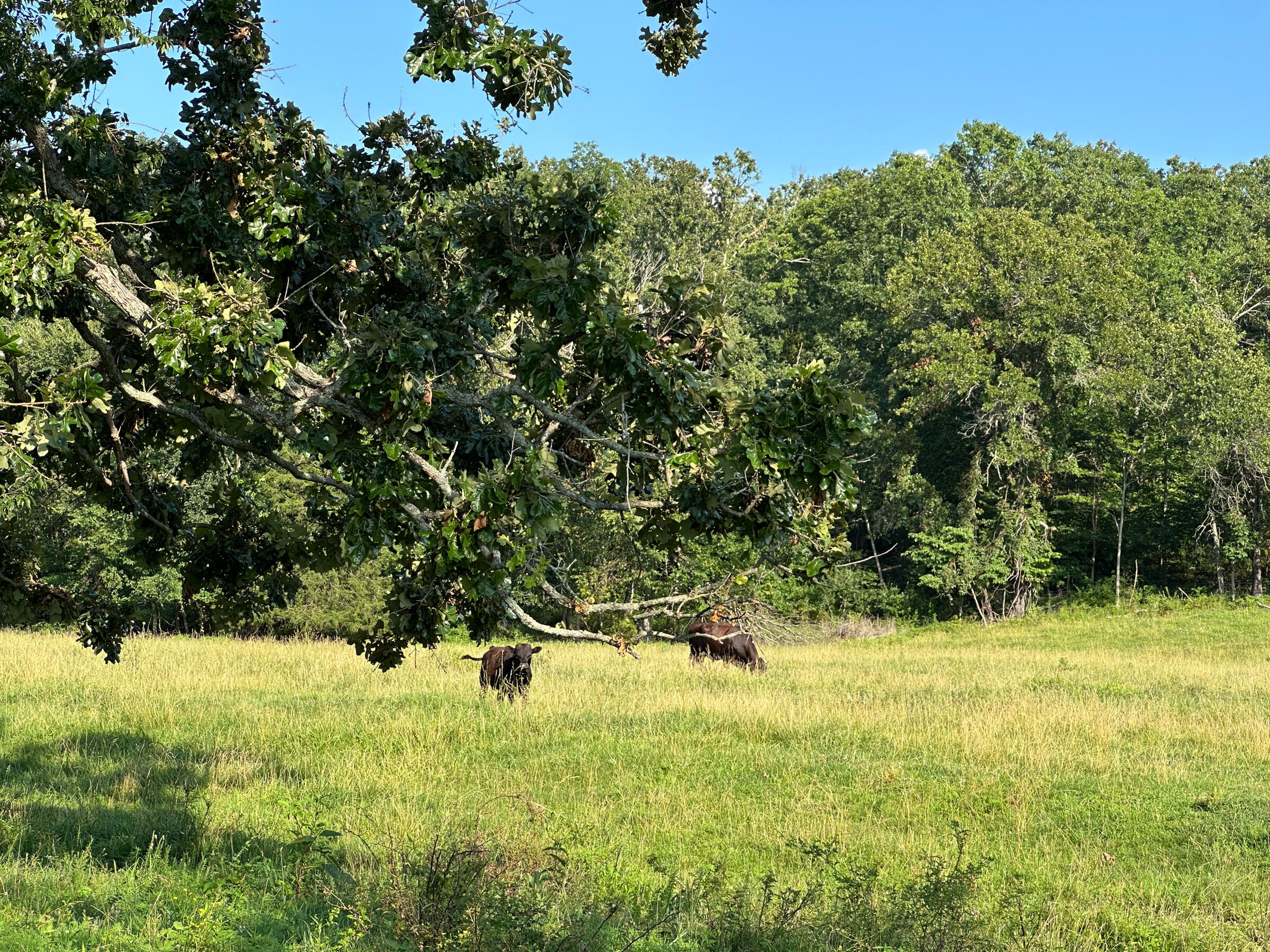 main property photo 65