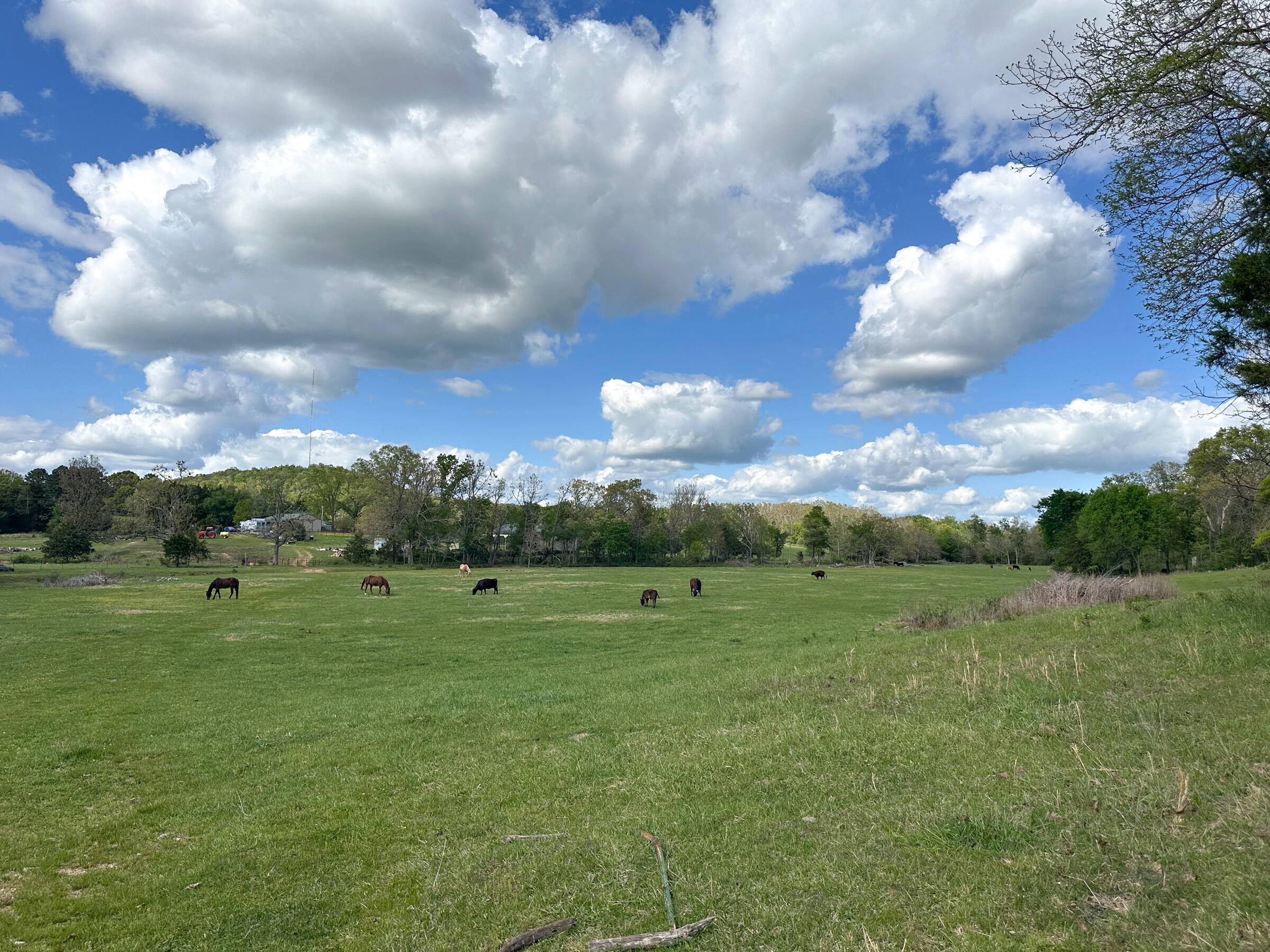 main property photo 68