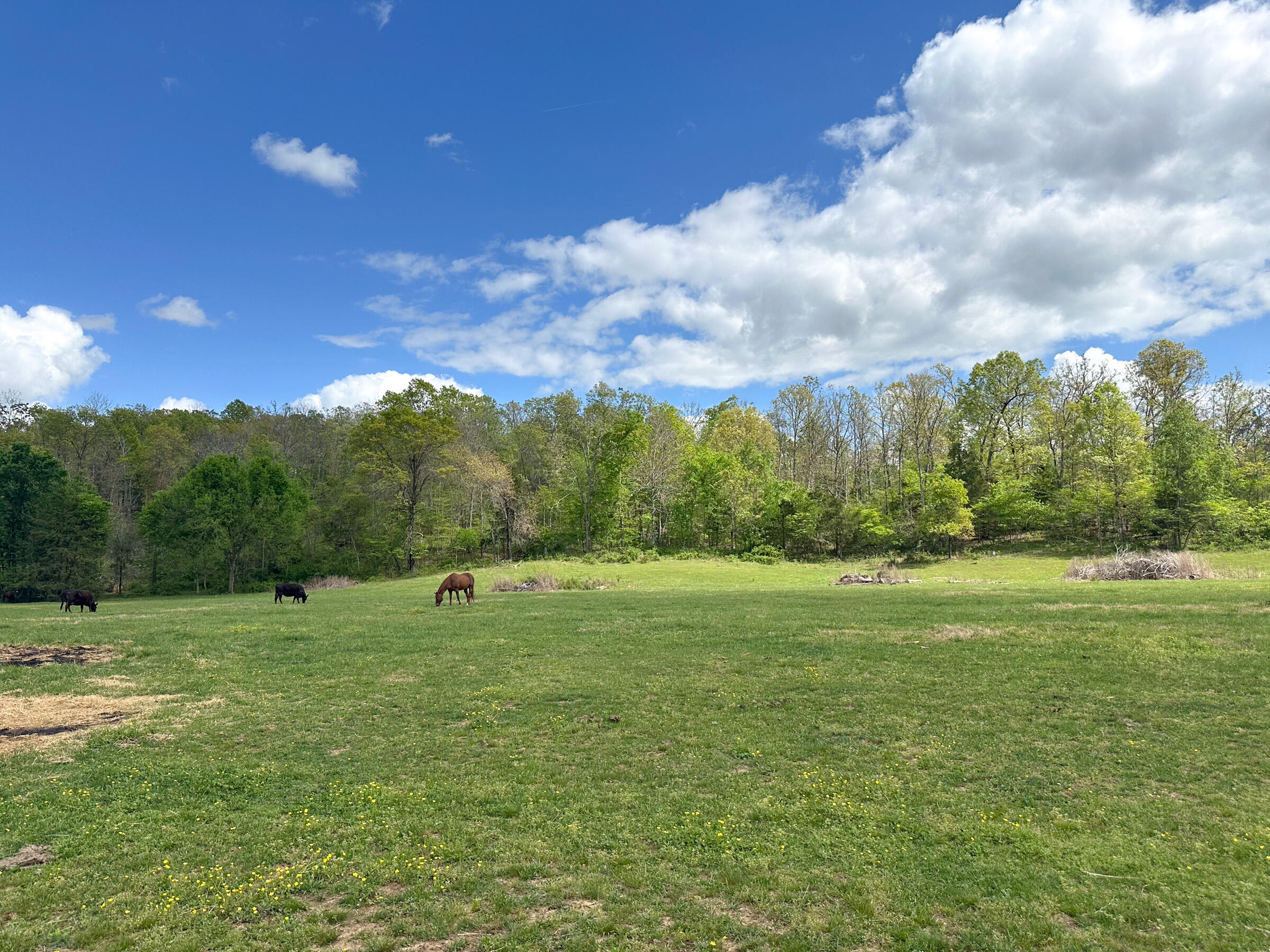 main property photo 73