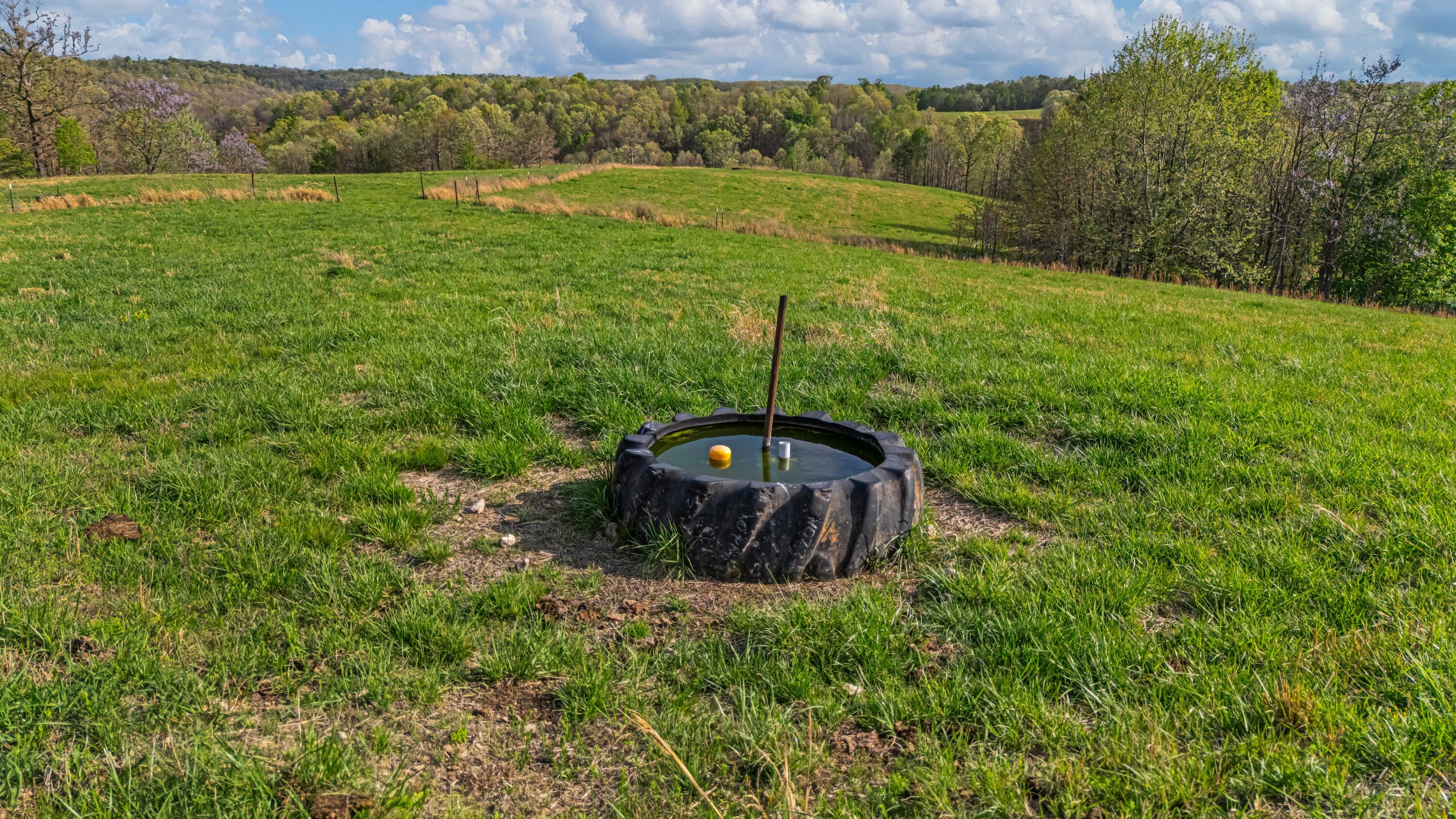main property photo 54