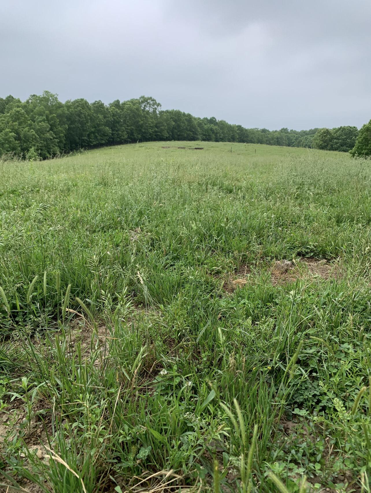main property photo 71