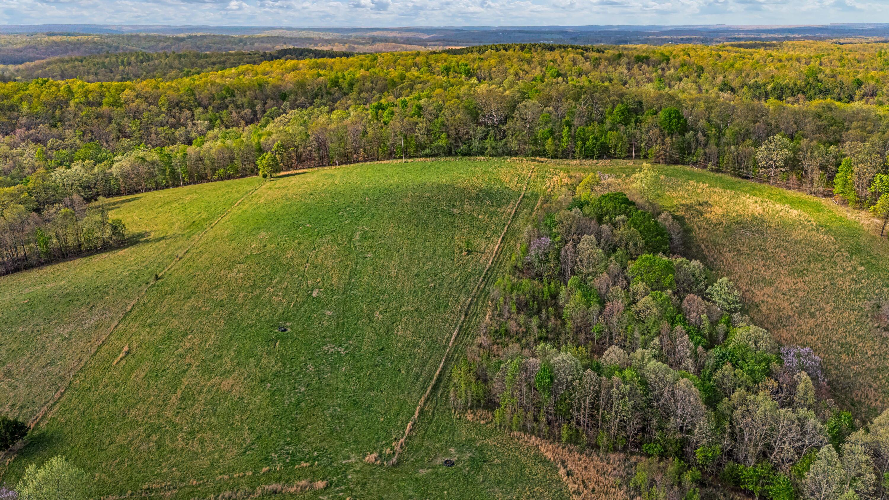 main property photo 53