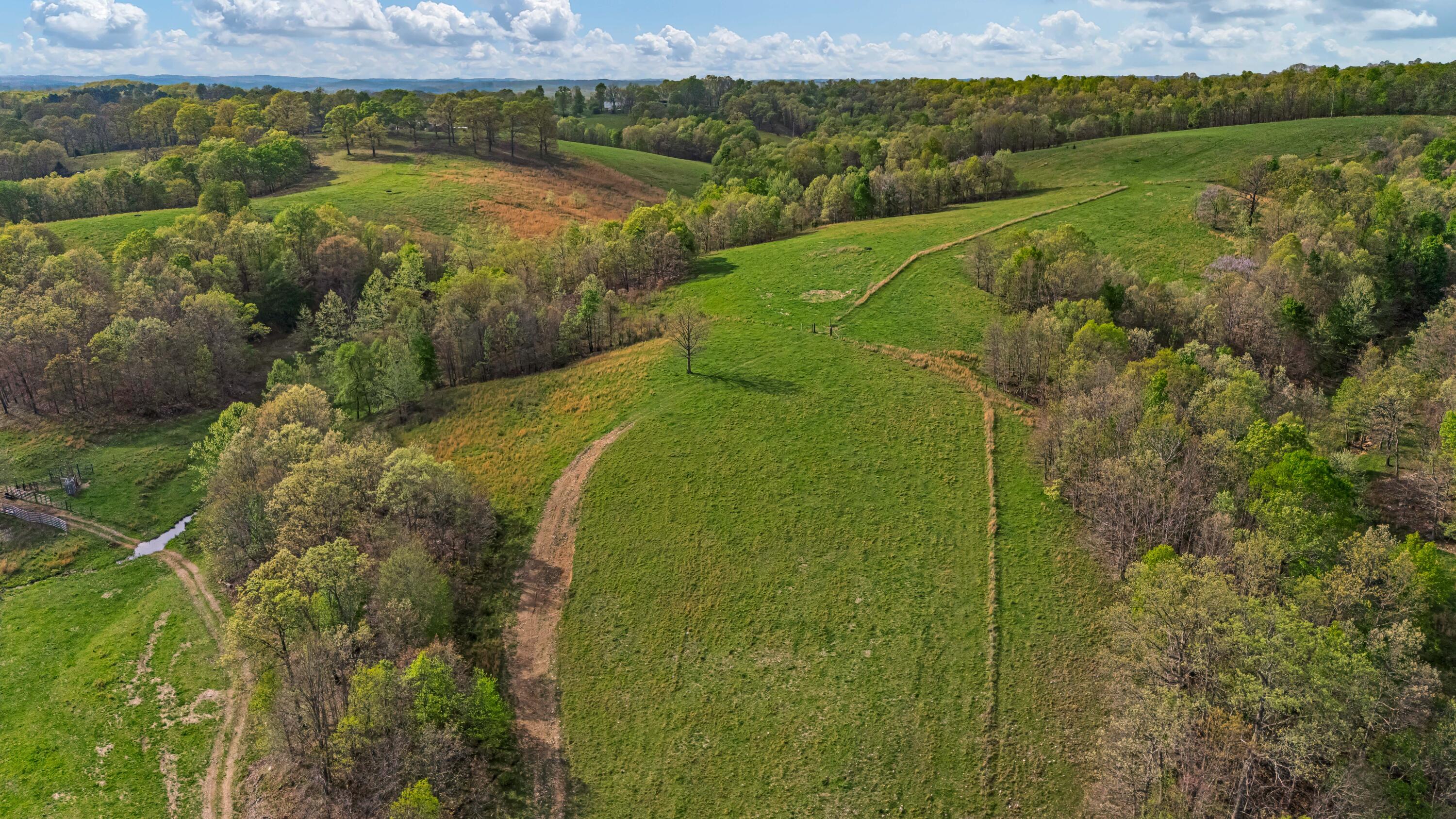 main property photo 62