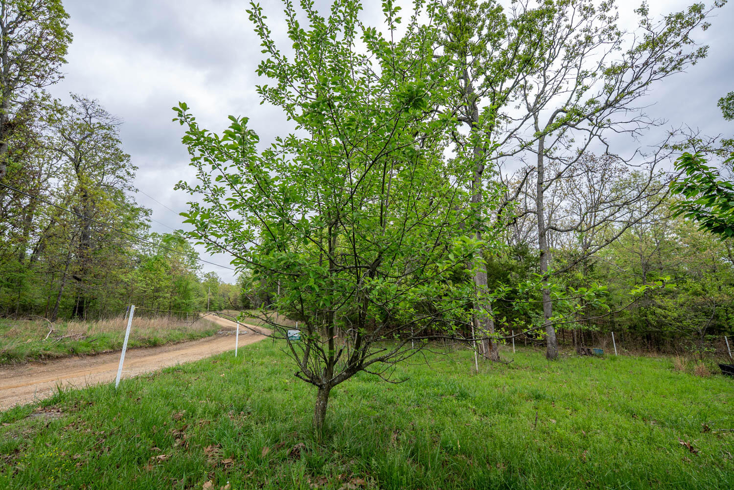 main property photo 28