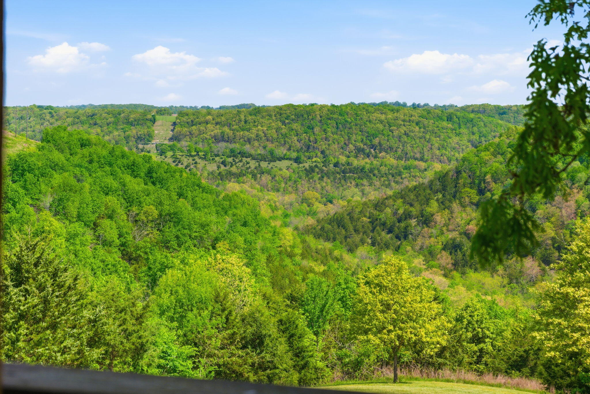 main property photo 25