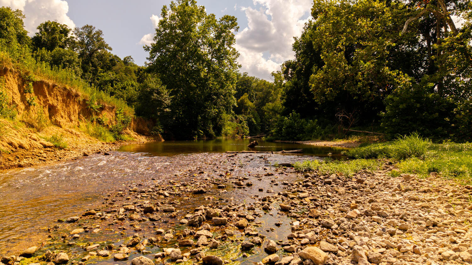 main property photo 100