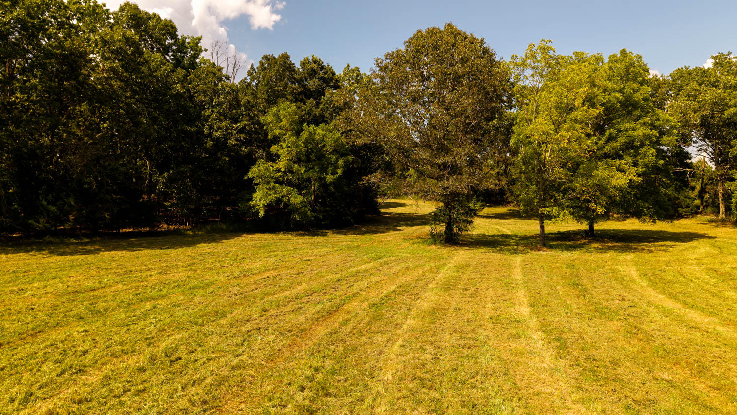 main property photo 108
