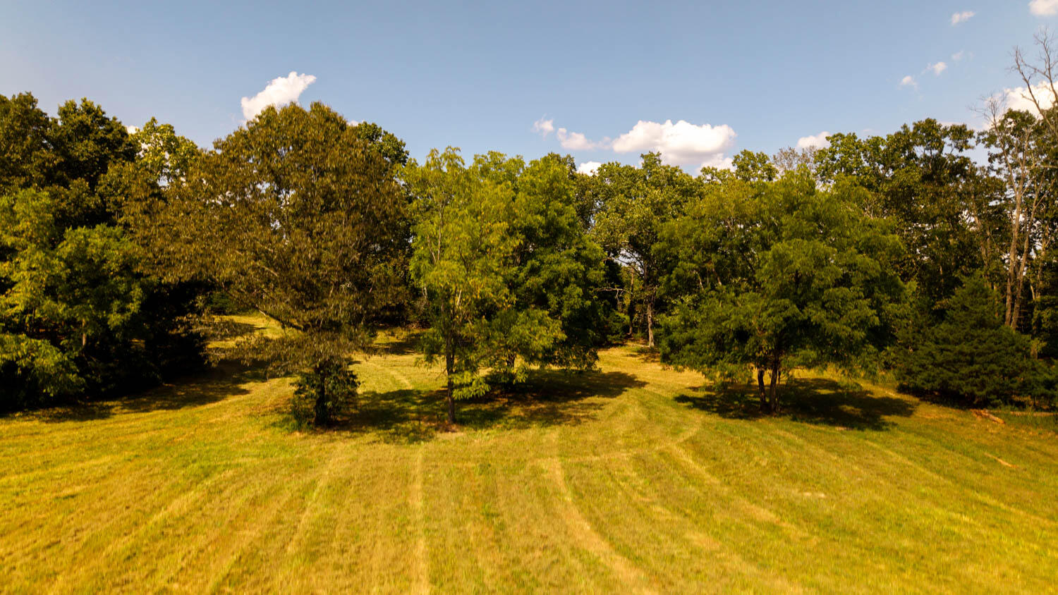 main property photo 110