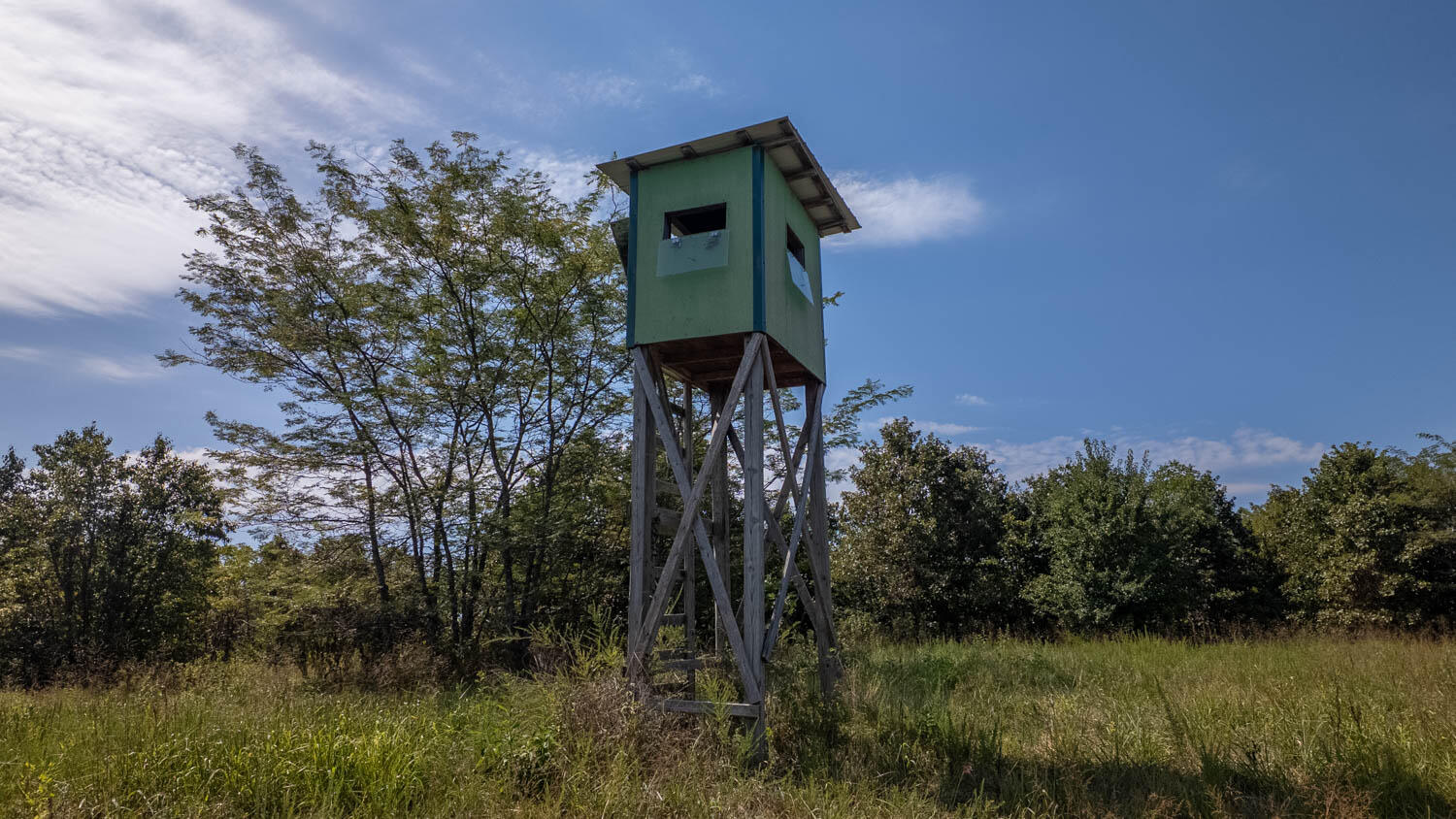 main property photo 19