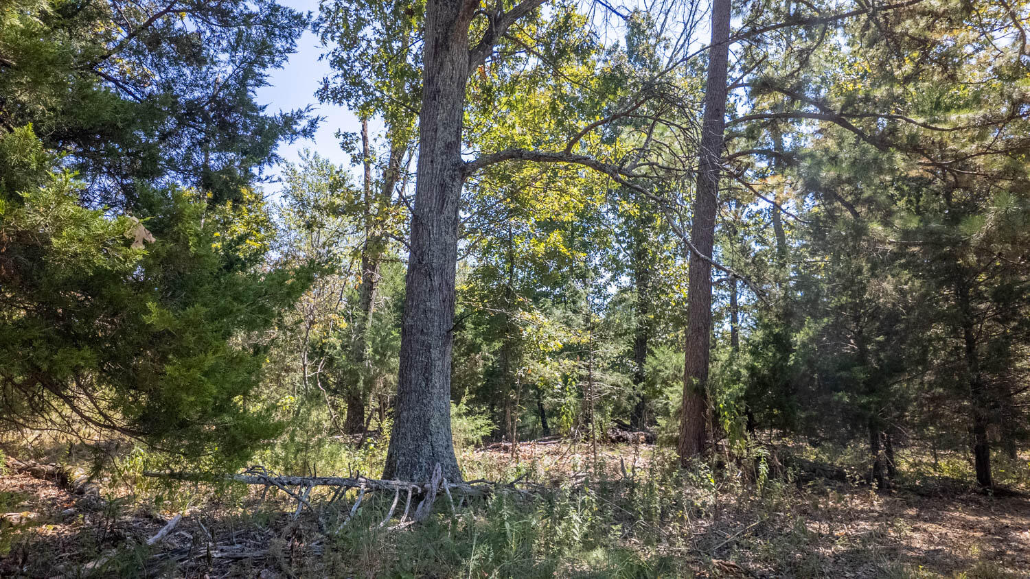 main property photo 38