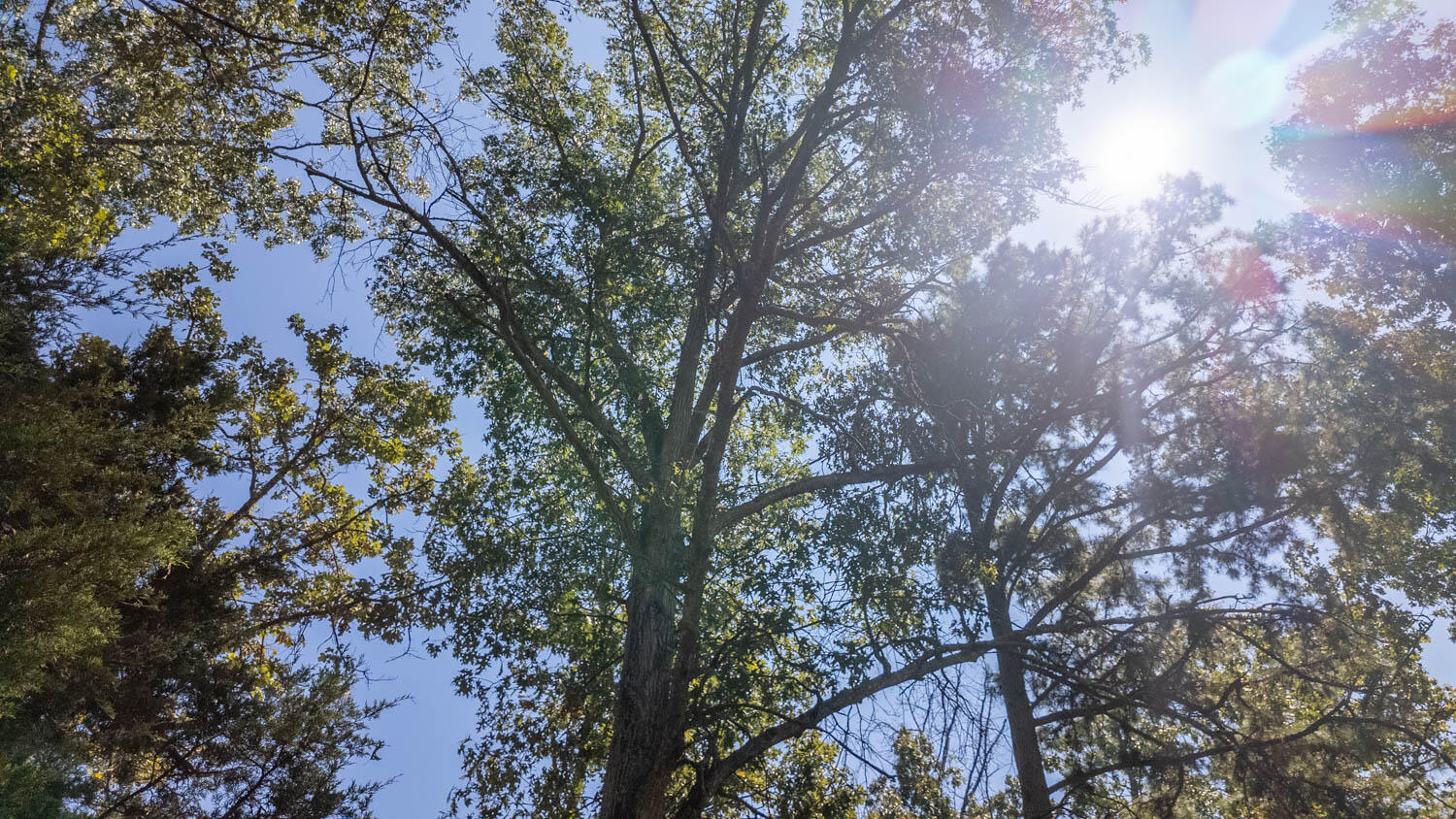 main property photo 39