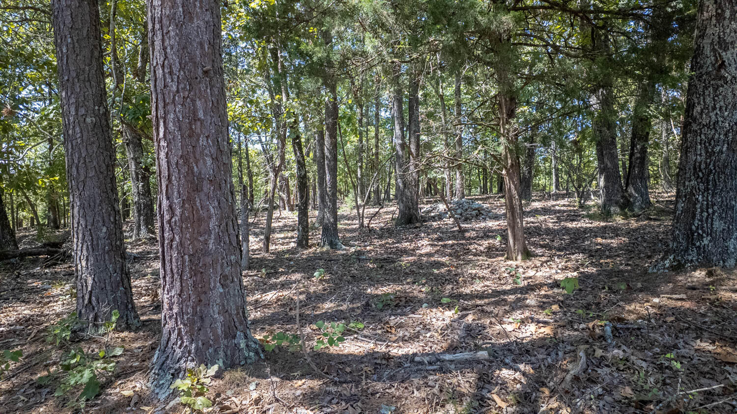 main property photo 40