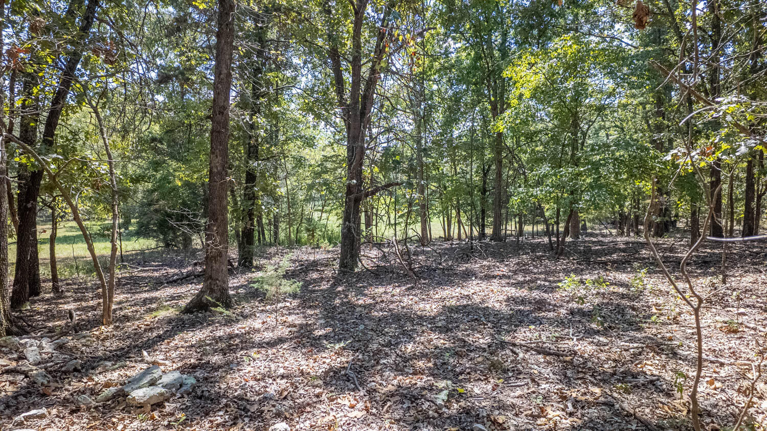 main property photo 42