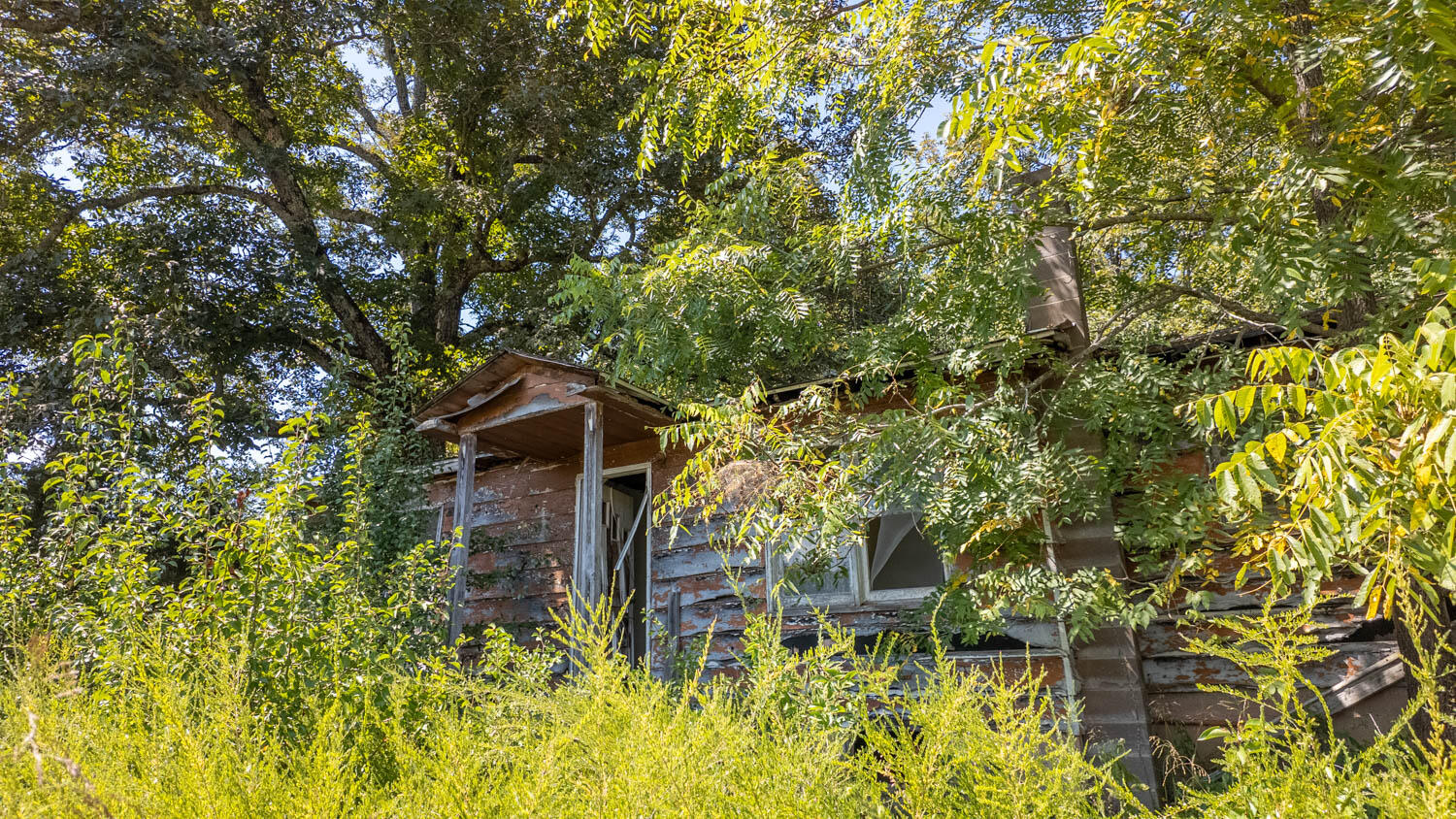 main property photo 48