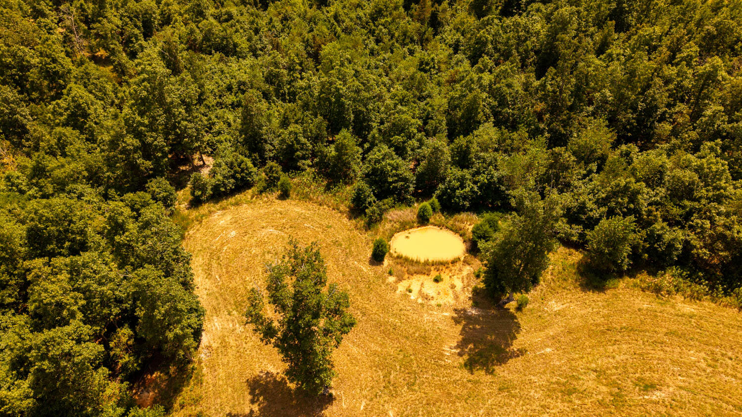 main property photo 51
