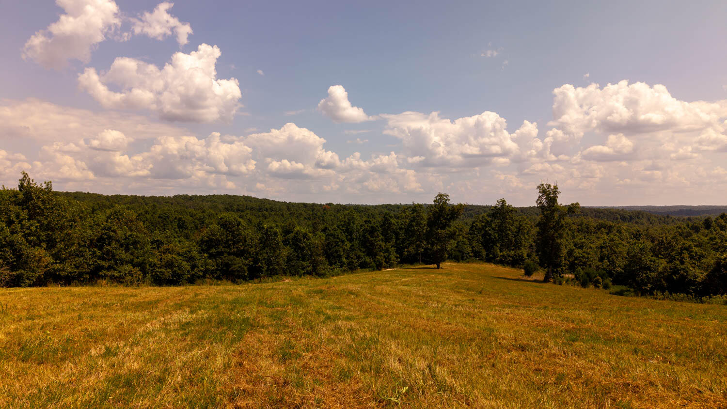main property photo 52