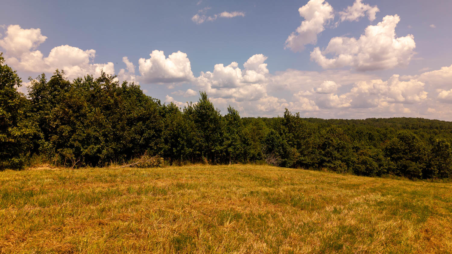 main property photo 54