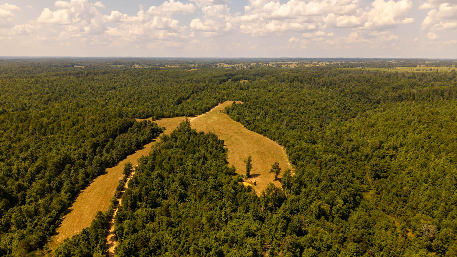main property photo 58