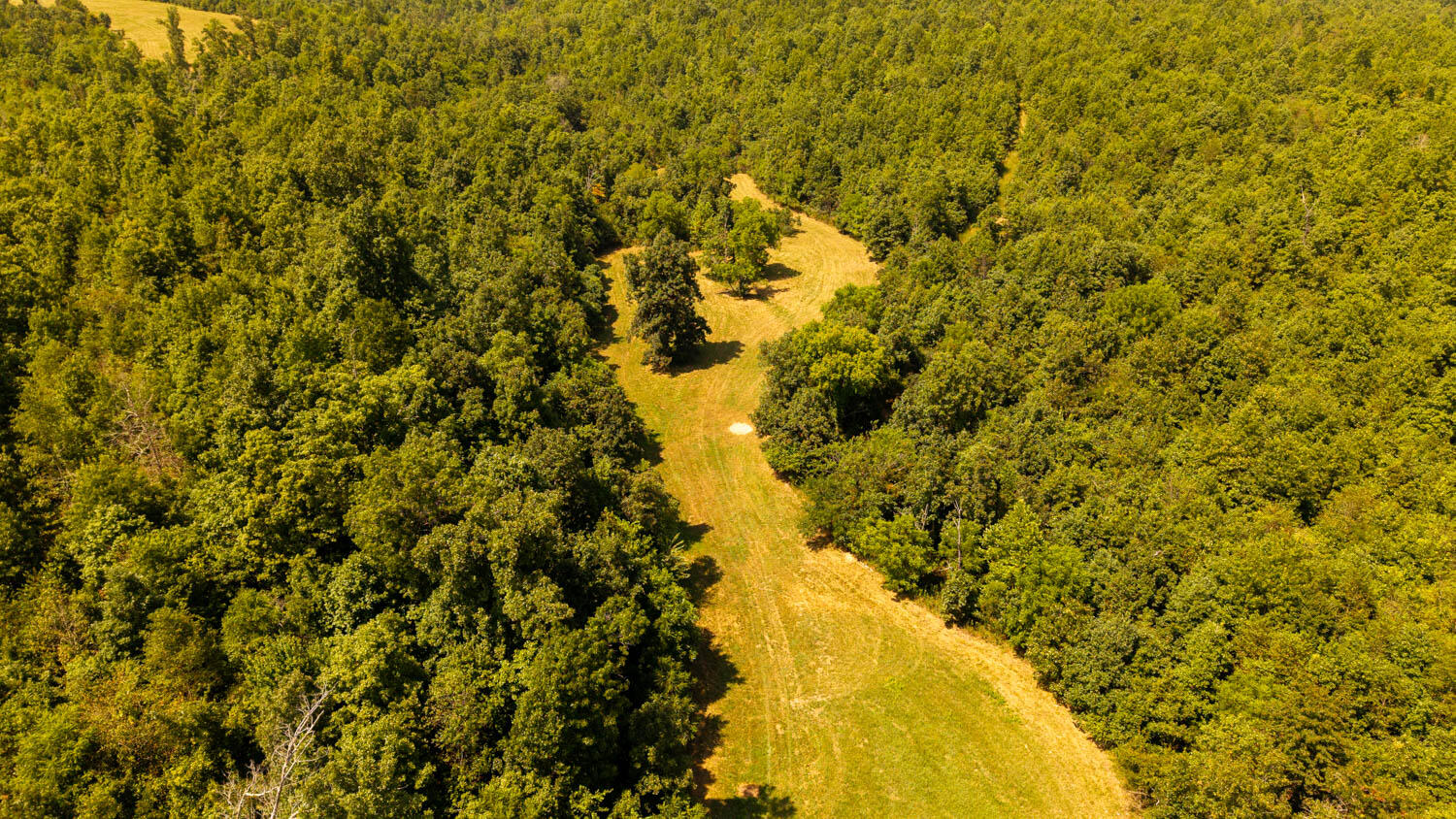 main property photo 63