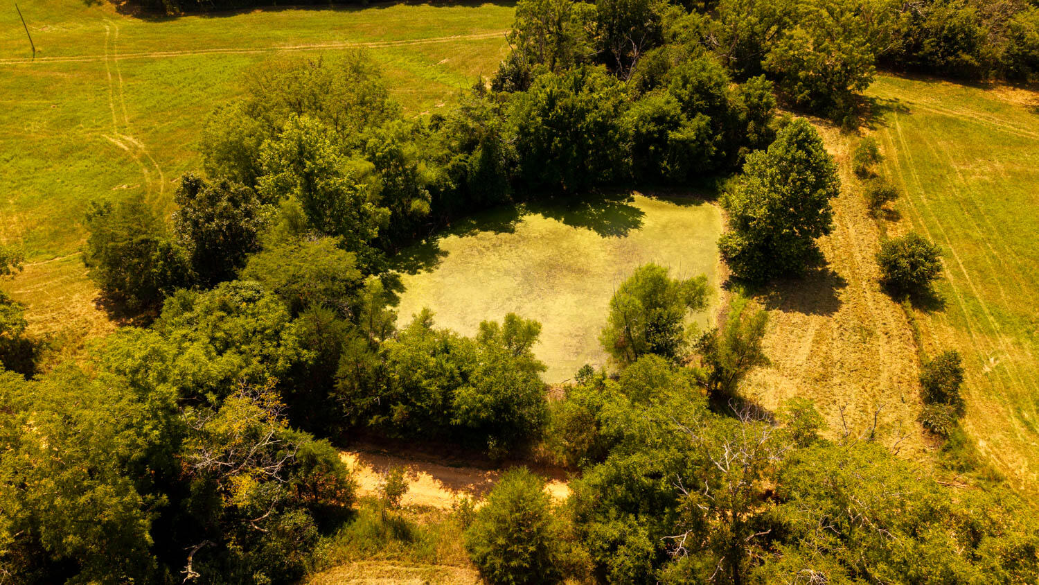 main property photo 65