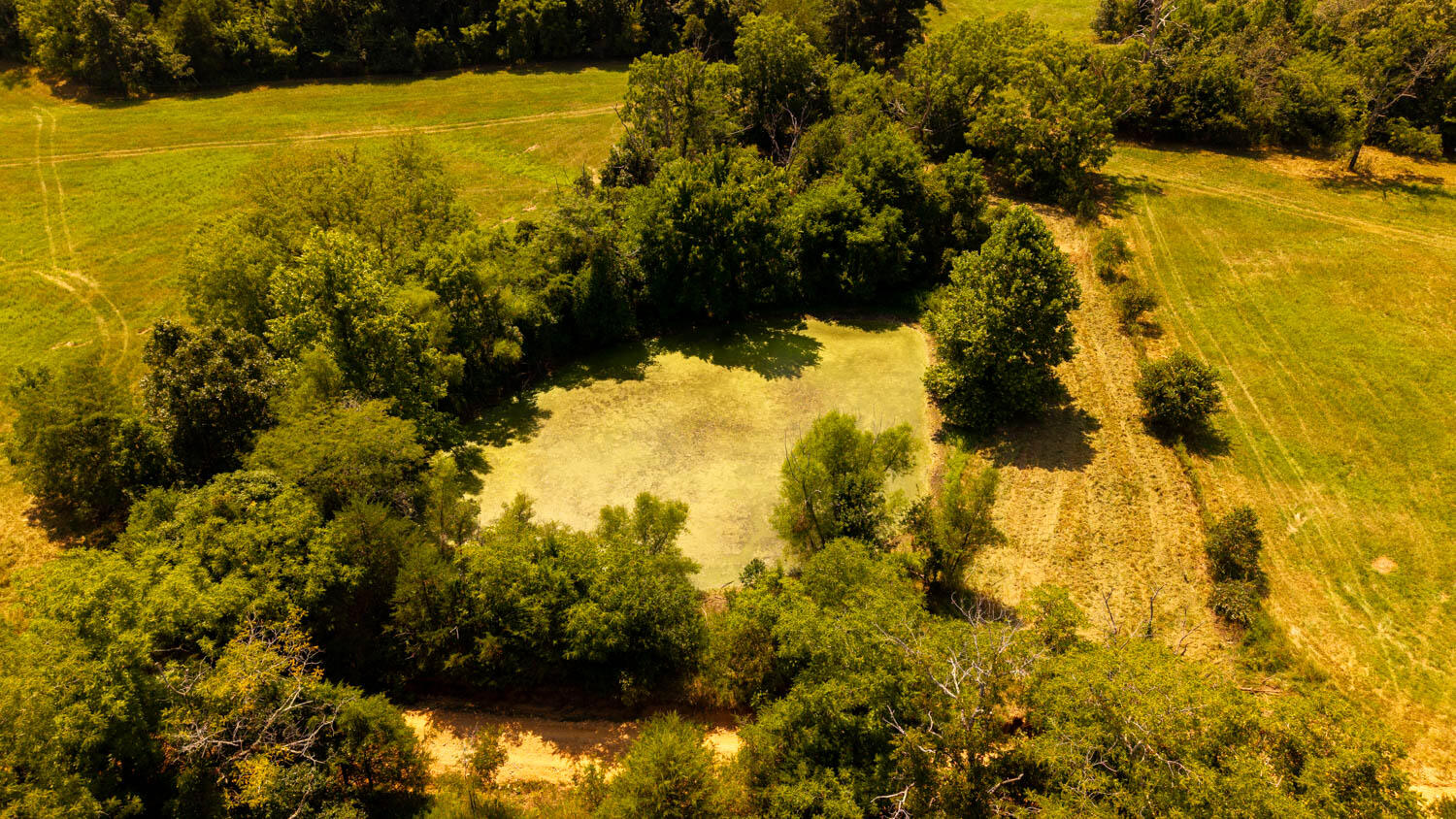 main property photo 66