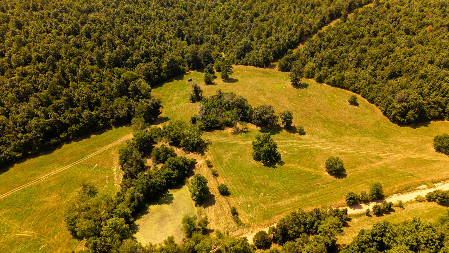 main property photo 67