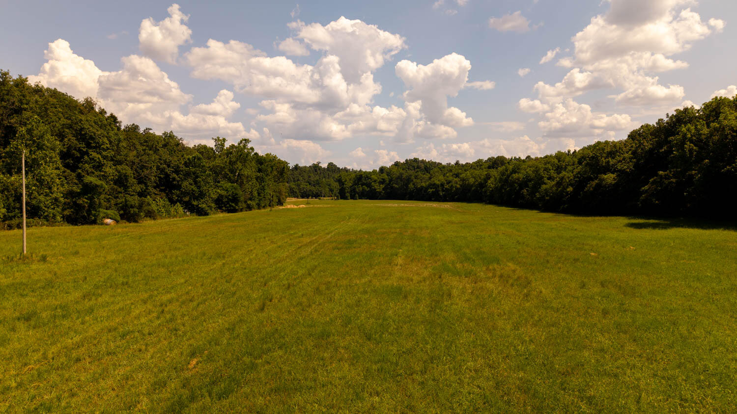 main property photo 68