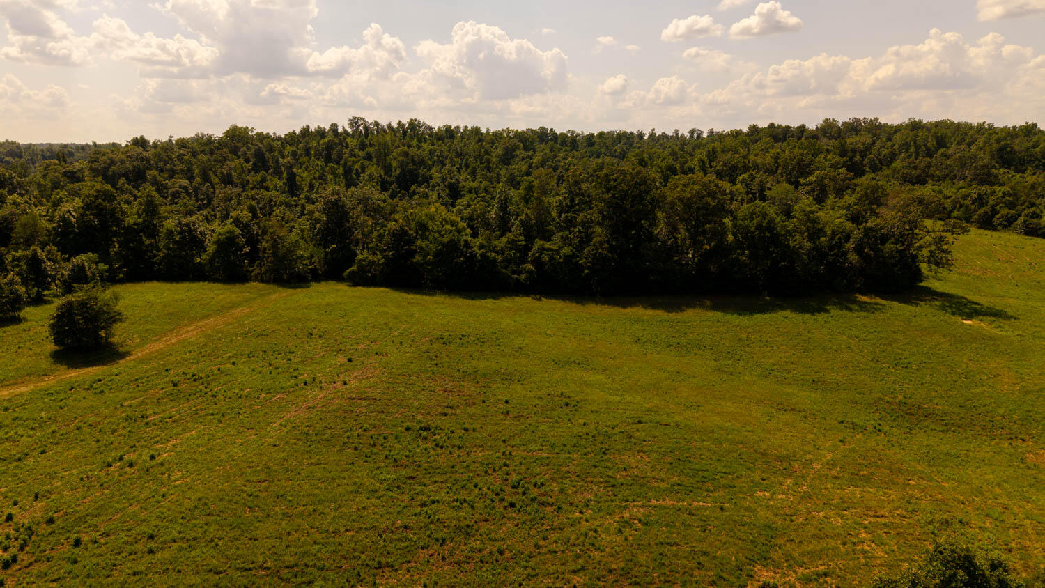 main property photo 78