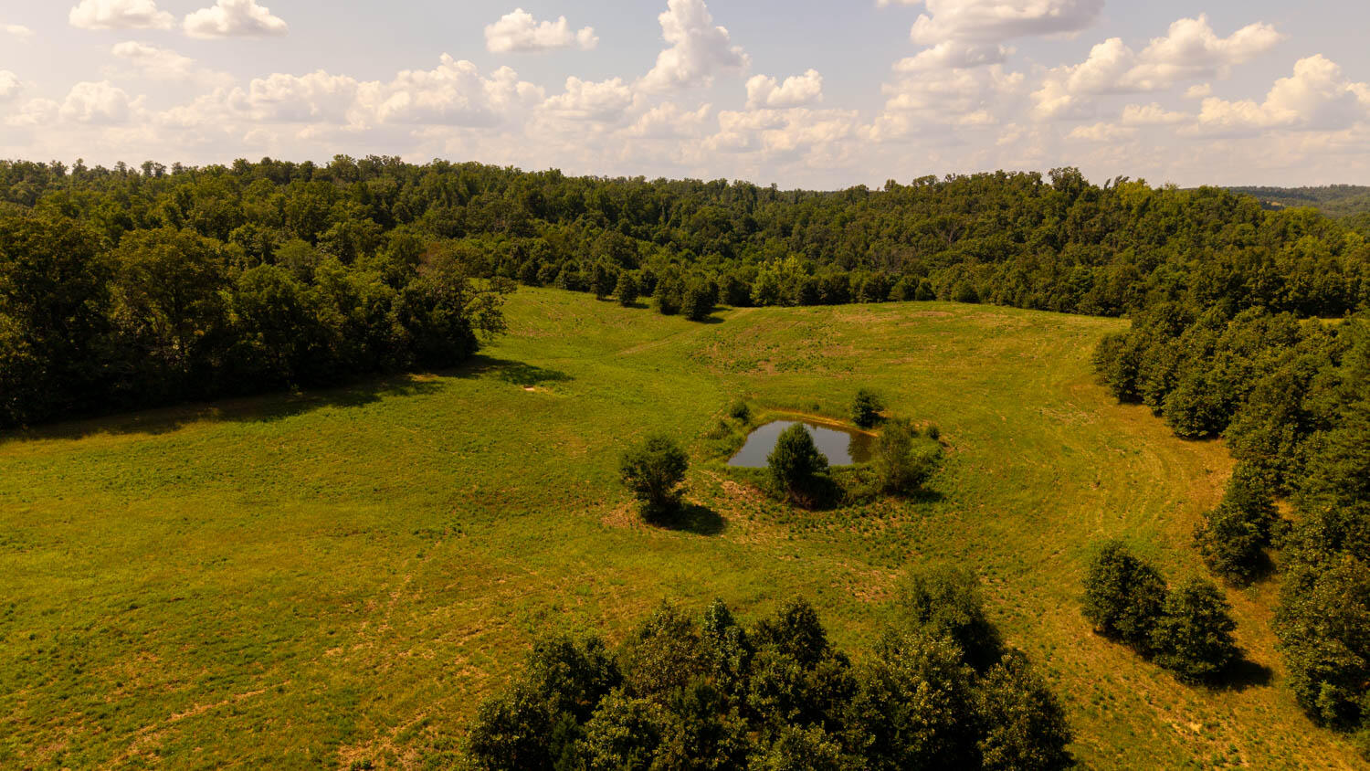 main property photo 79