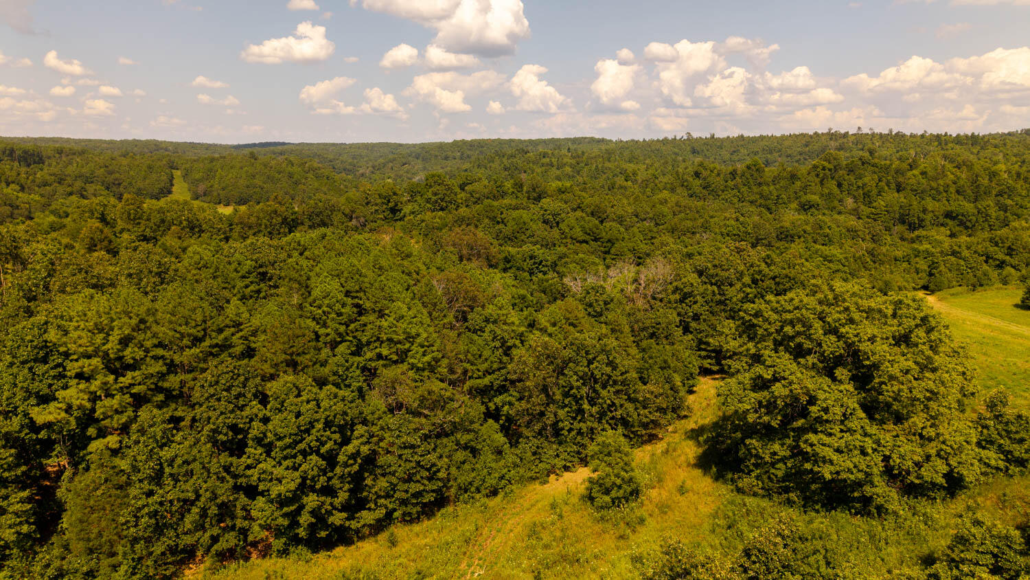 main property photo 80