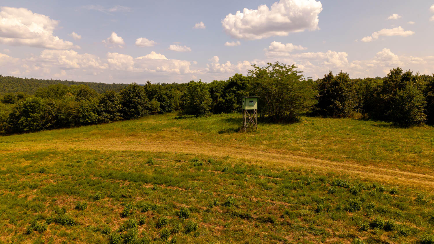main property photo 81