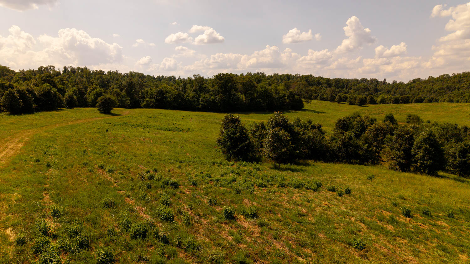 main property photo 82
