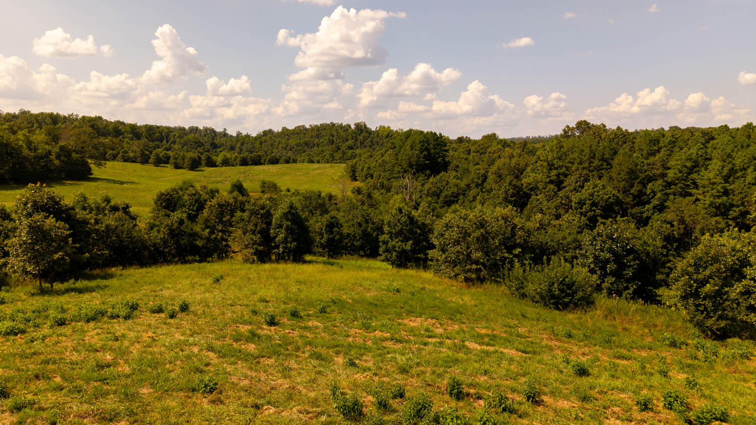 main property photo 83