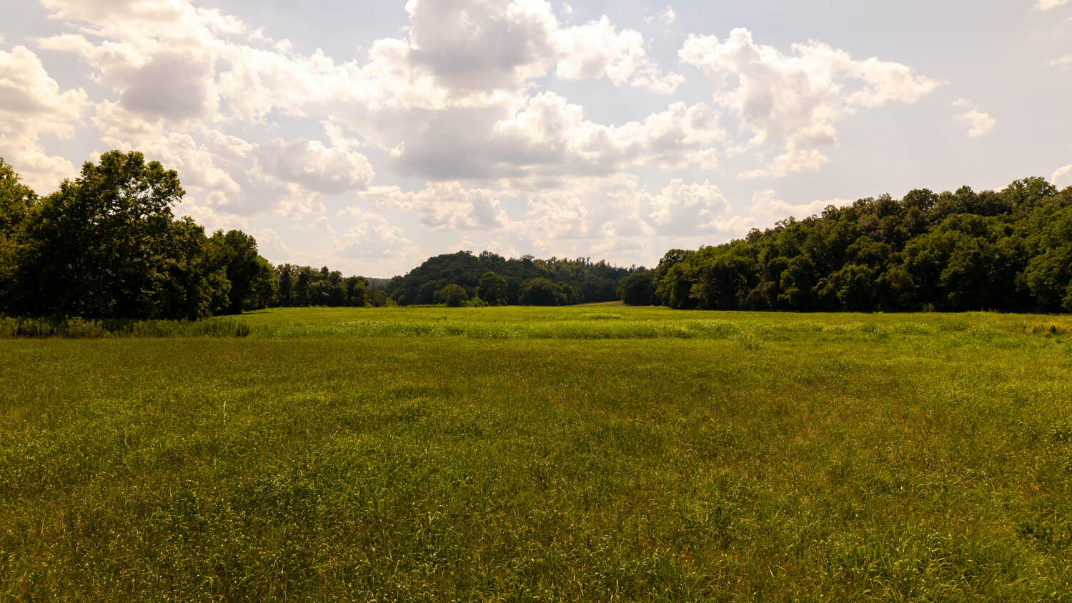 main property photo 86
