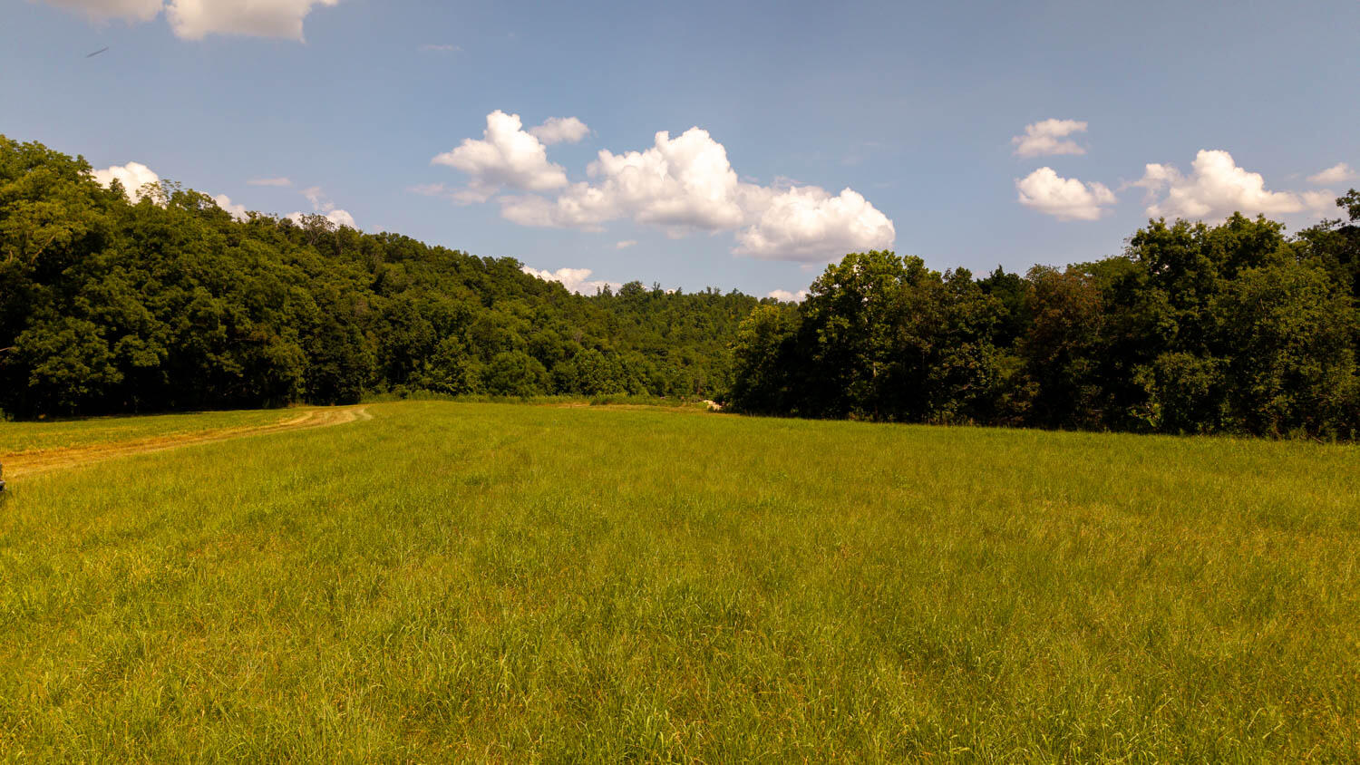 main property photo 87