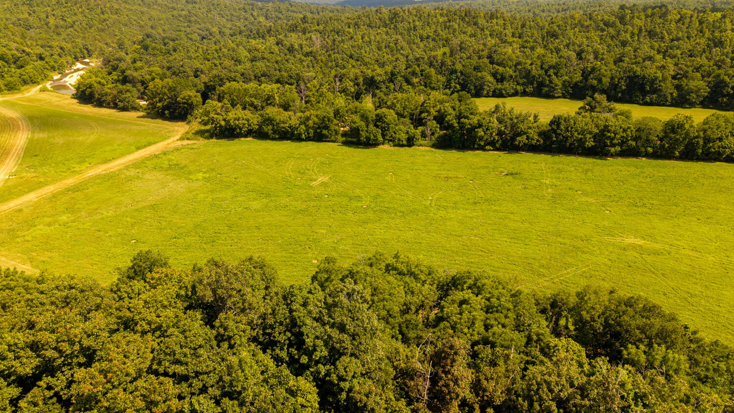 main property photo 90